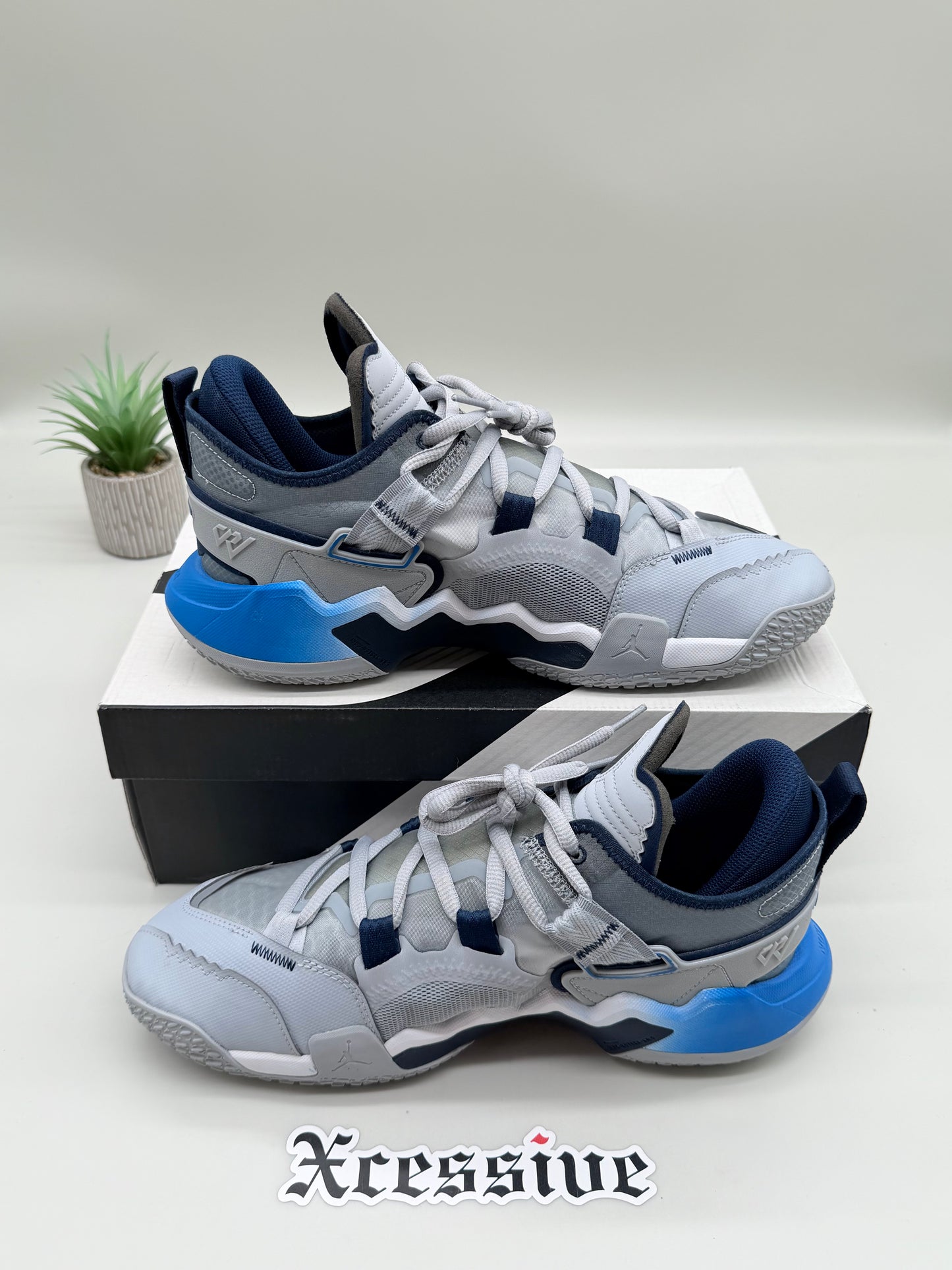 Jordan Why Not Zer0.5 Georgetown University PE