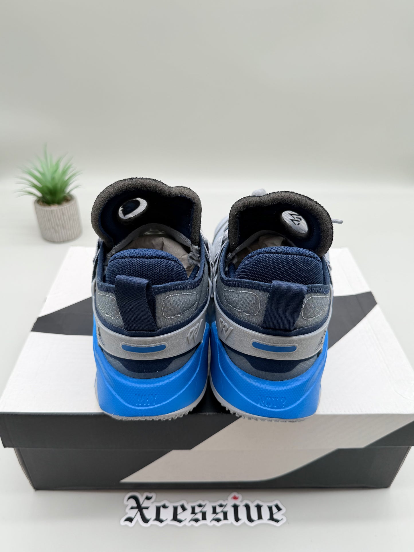 Jordan Why Not Zer0.5 Georgetown University PE