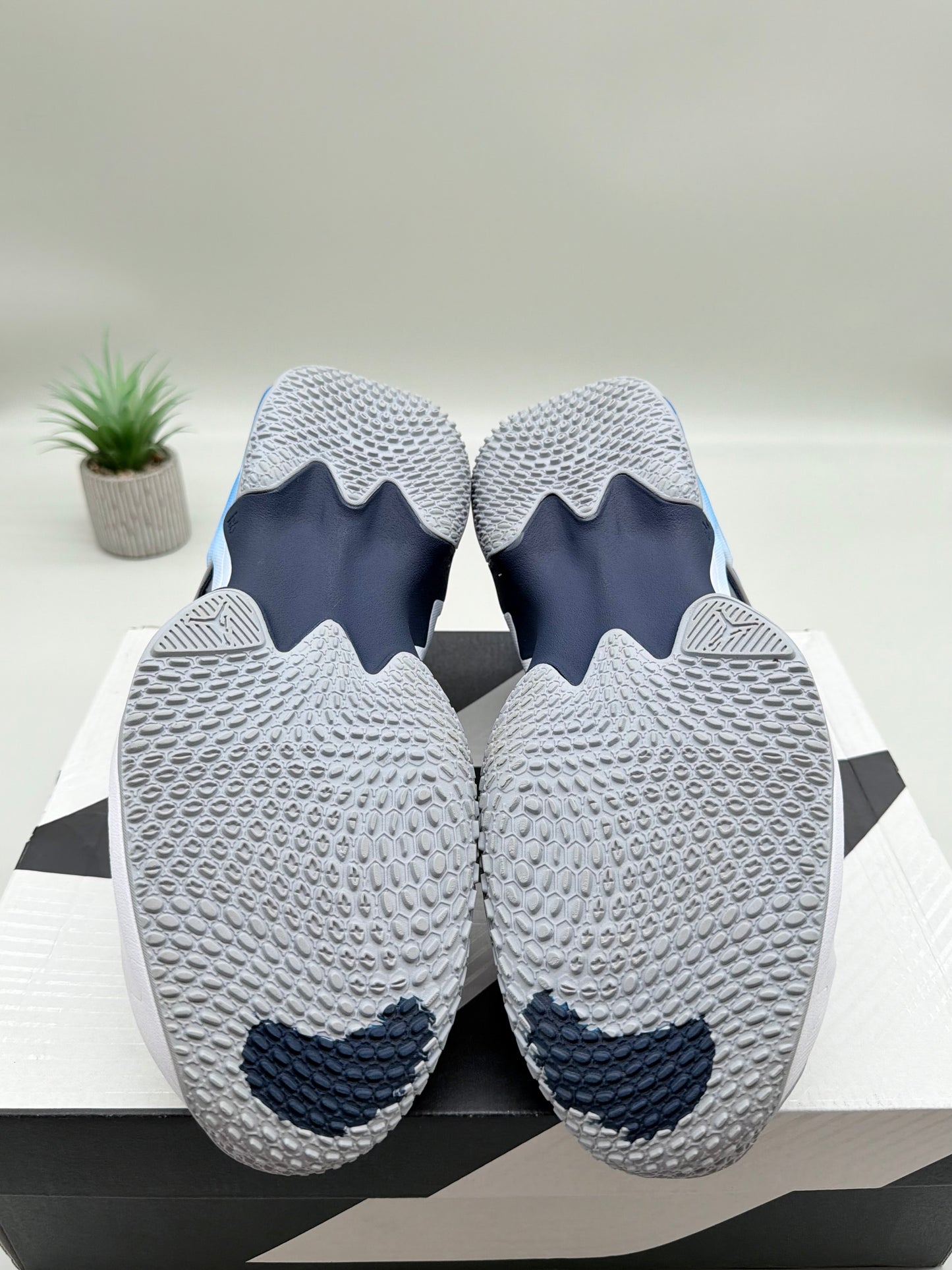 Jordan Why Not Zer0.5 Georgetown University PE