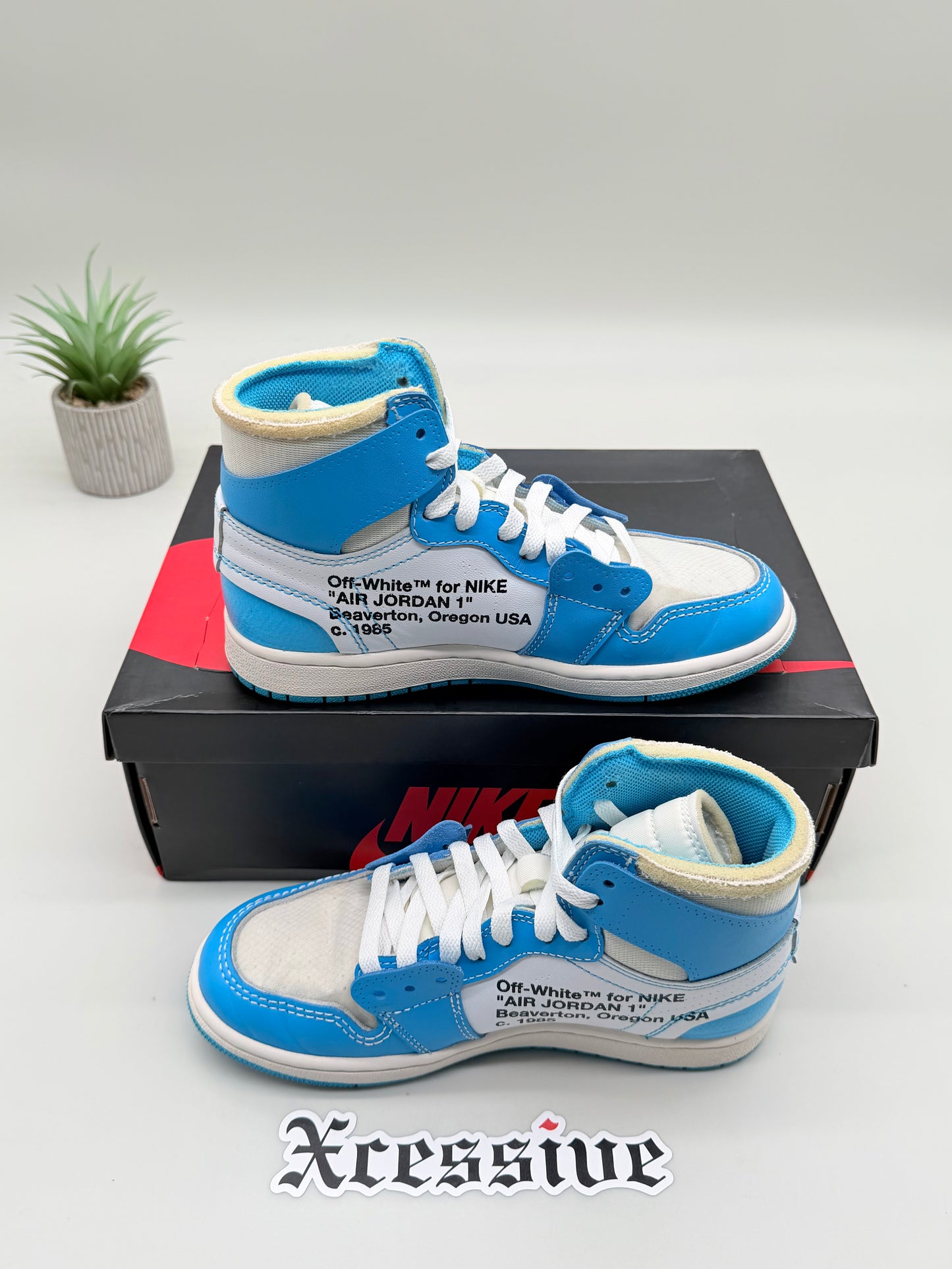 Off-White Jordan 1 UNC