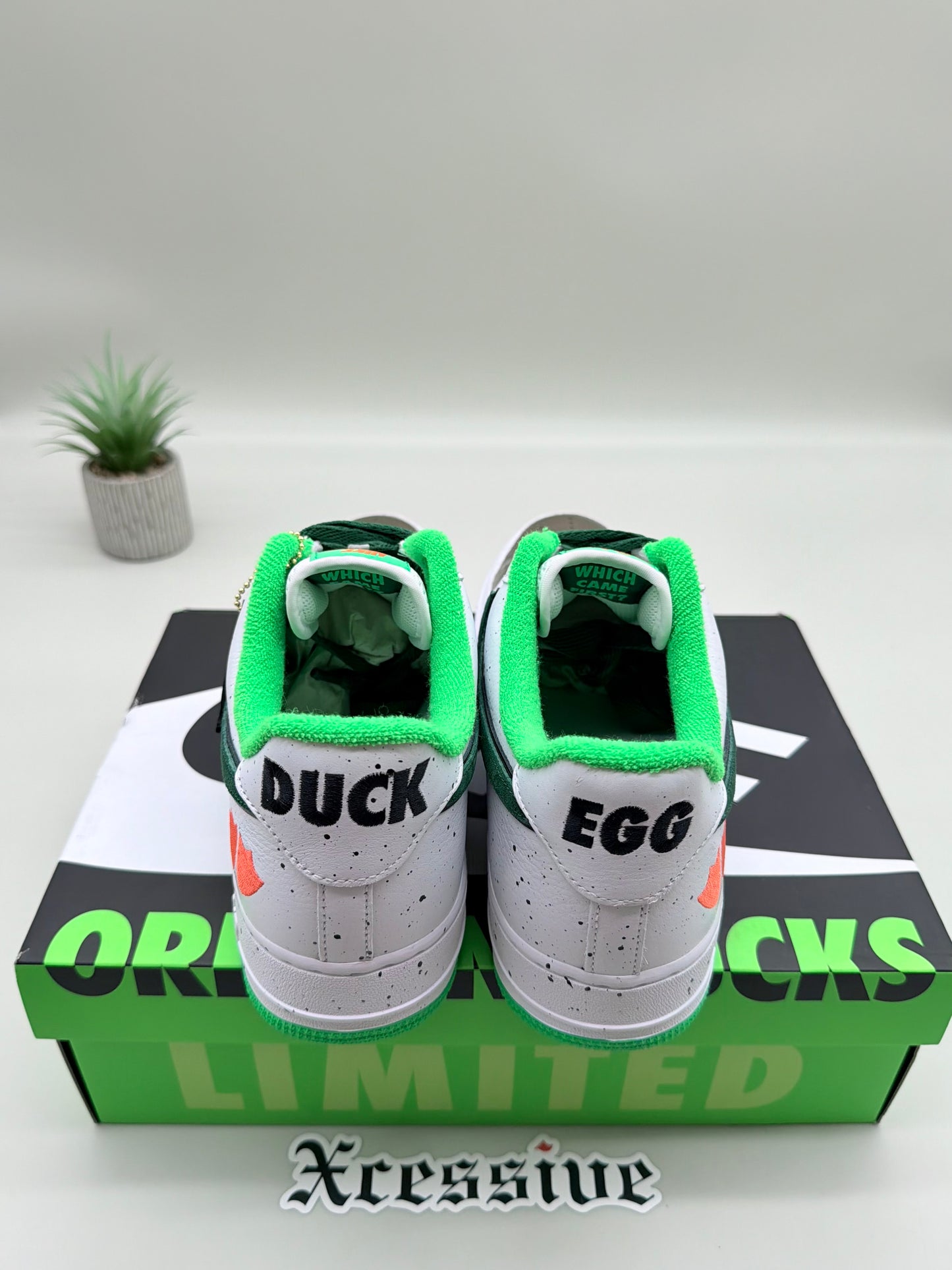 Nike Air Force 1 Oregon Ducks of a Feather Egg or Duck