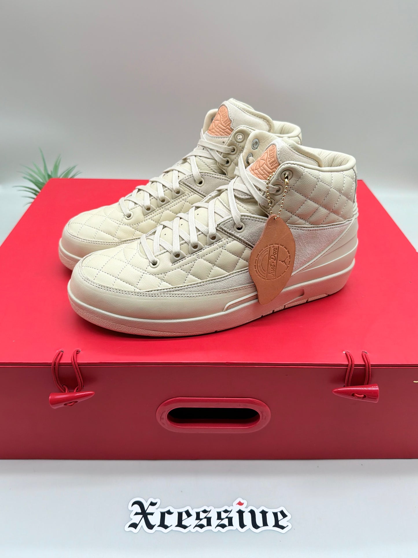 Jordan 2 Just Don Beach