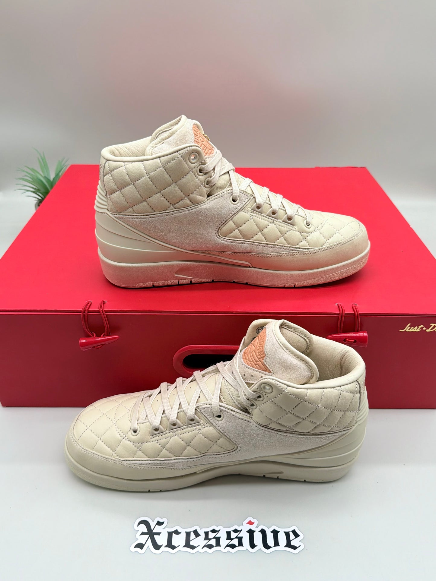 Jordan 2 Just Don Beach