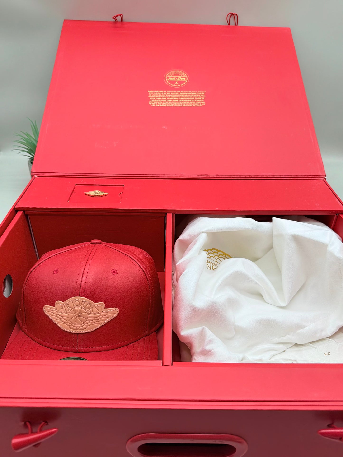 Jordan 2 Just Don Beach