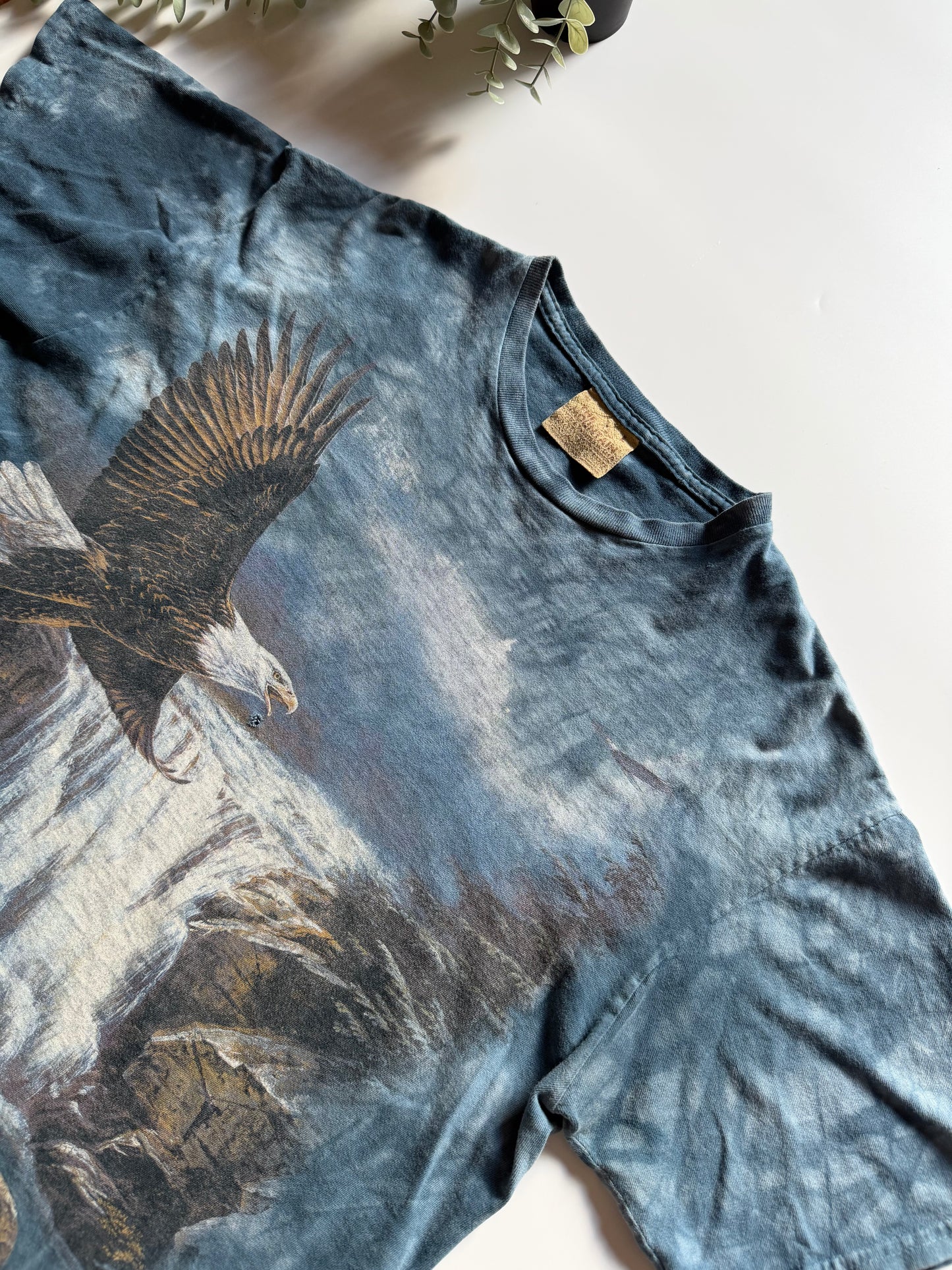 Y2K The Mountain American Eagle Tee