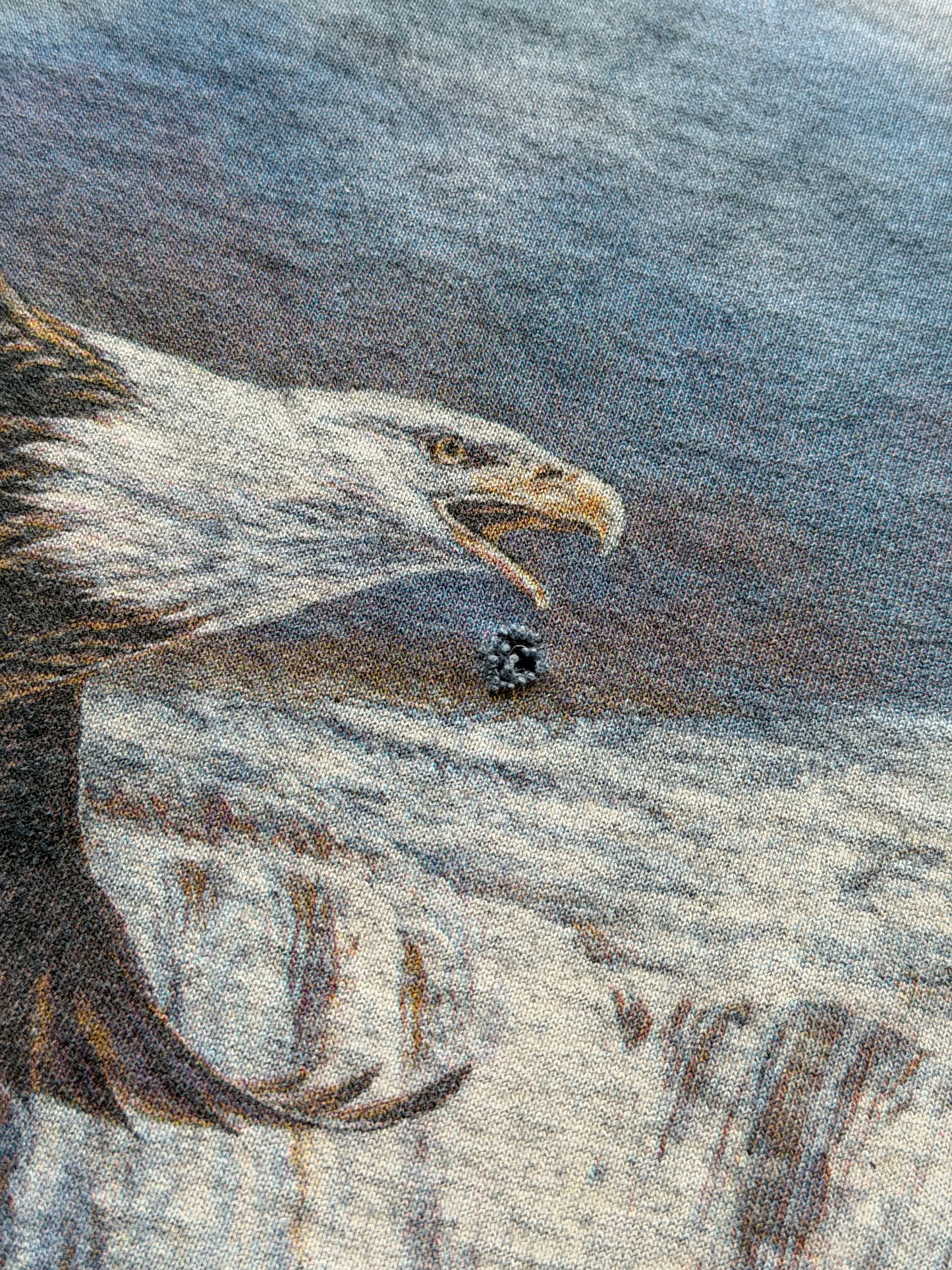 Y2K The Mountain American Eagle Tee