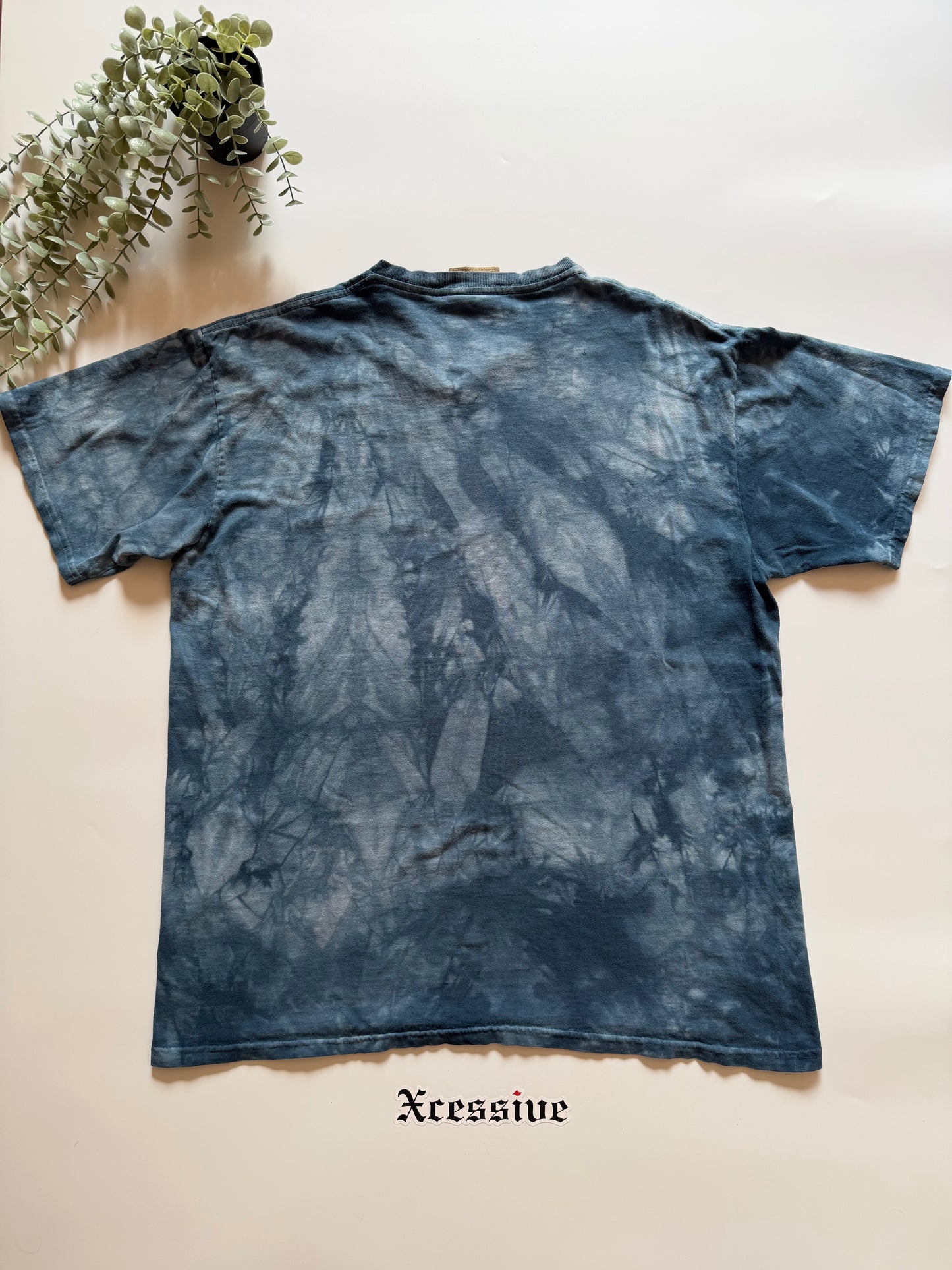 Y2K The Mountain American Eagle Tee