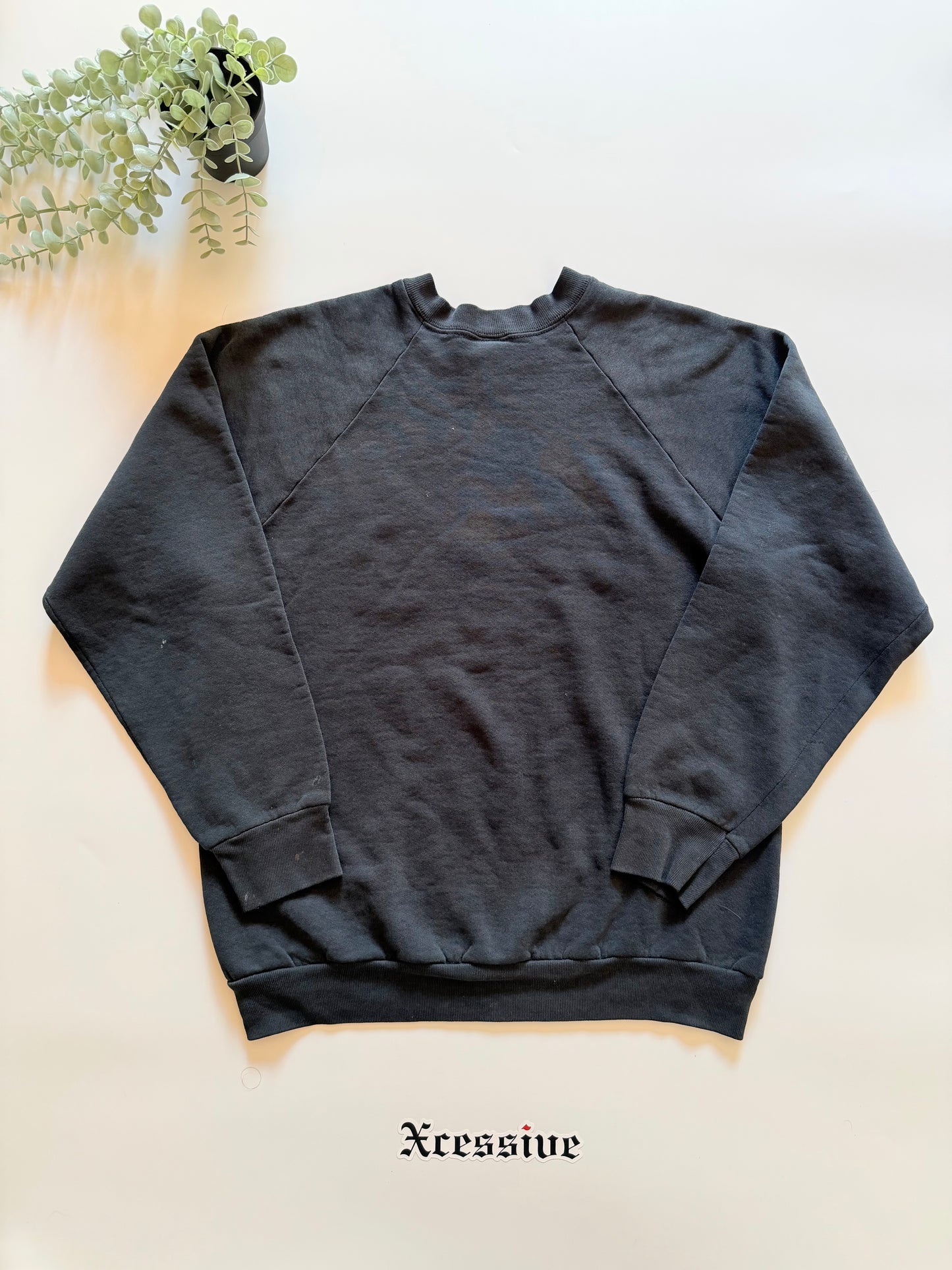Vintage Apple Crewneck