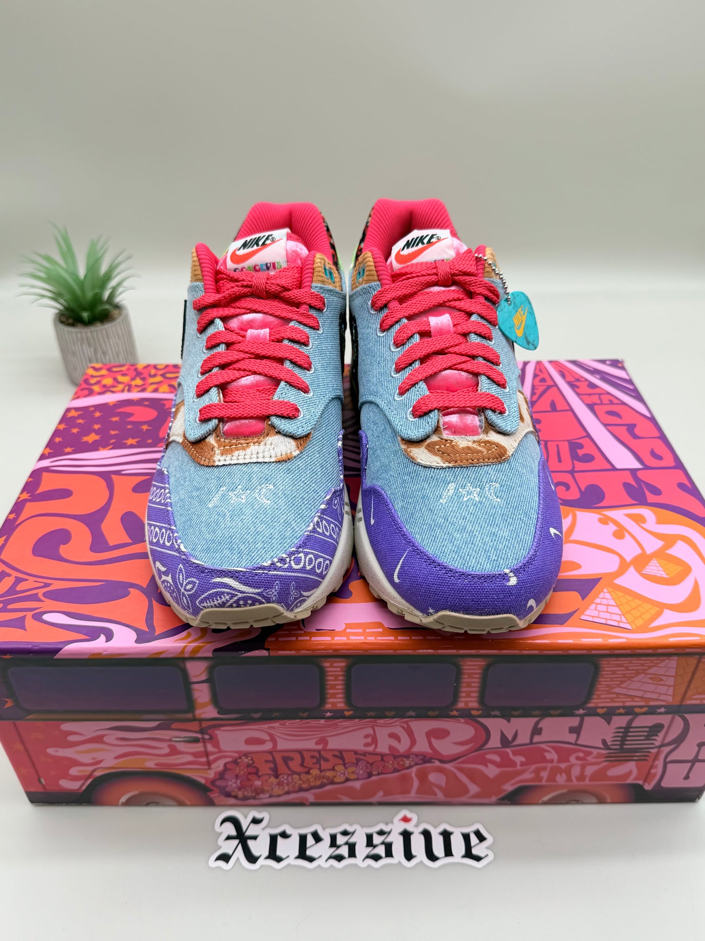 Nike Air Max 1 Concepts Far Out Special Box