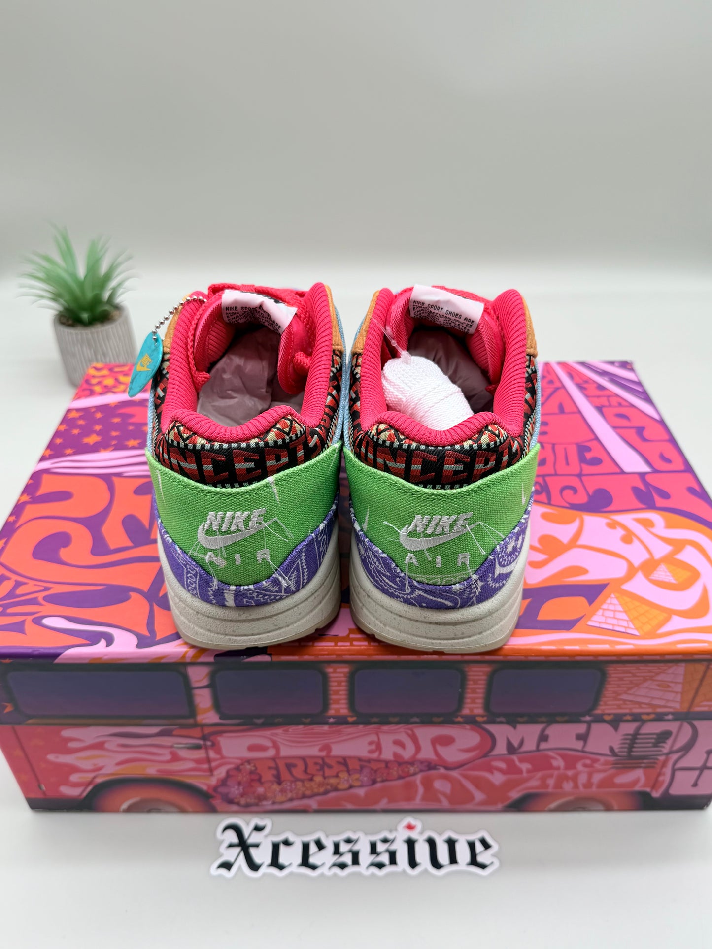 Nike Air Max 1 Concepts Far Out Special Box