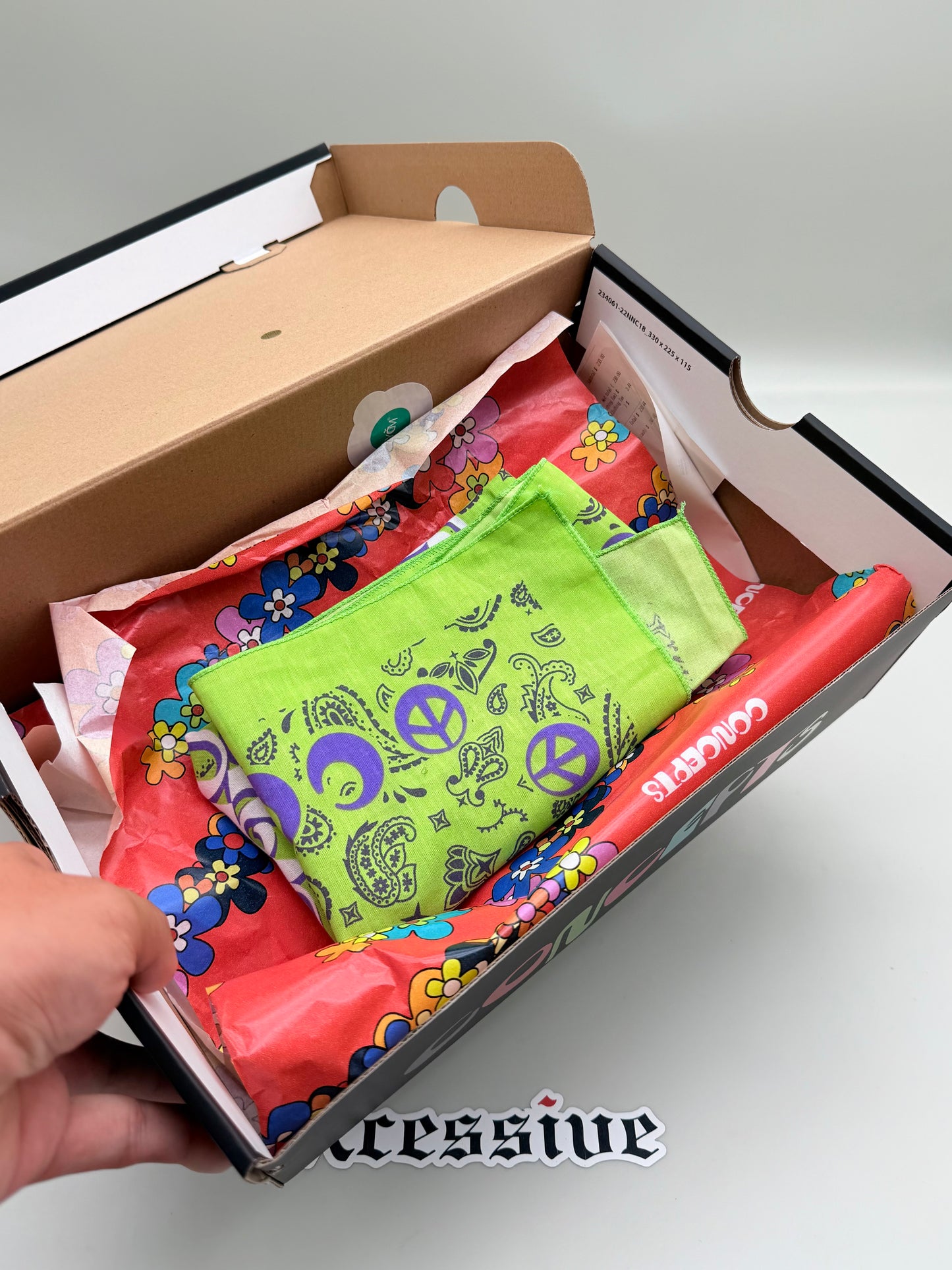 Nike Air Max 1 Concepts Far Out Special Box