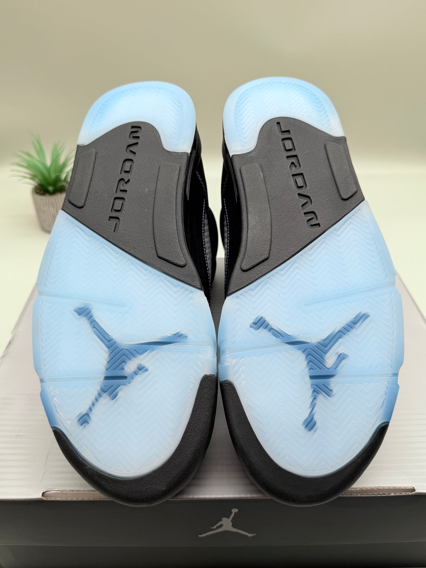 Jordan 5 Black University Blue