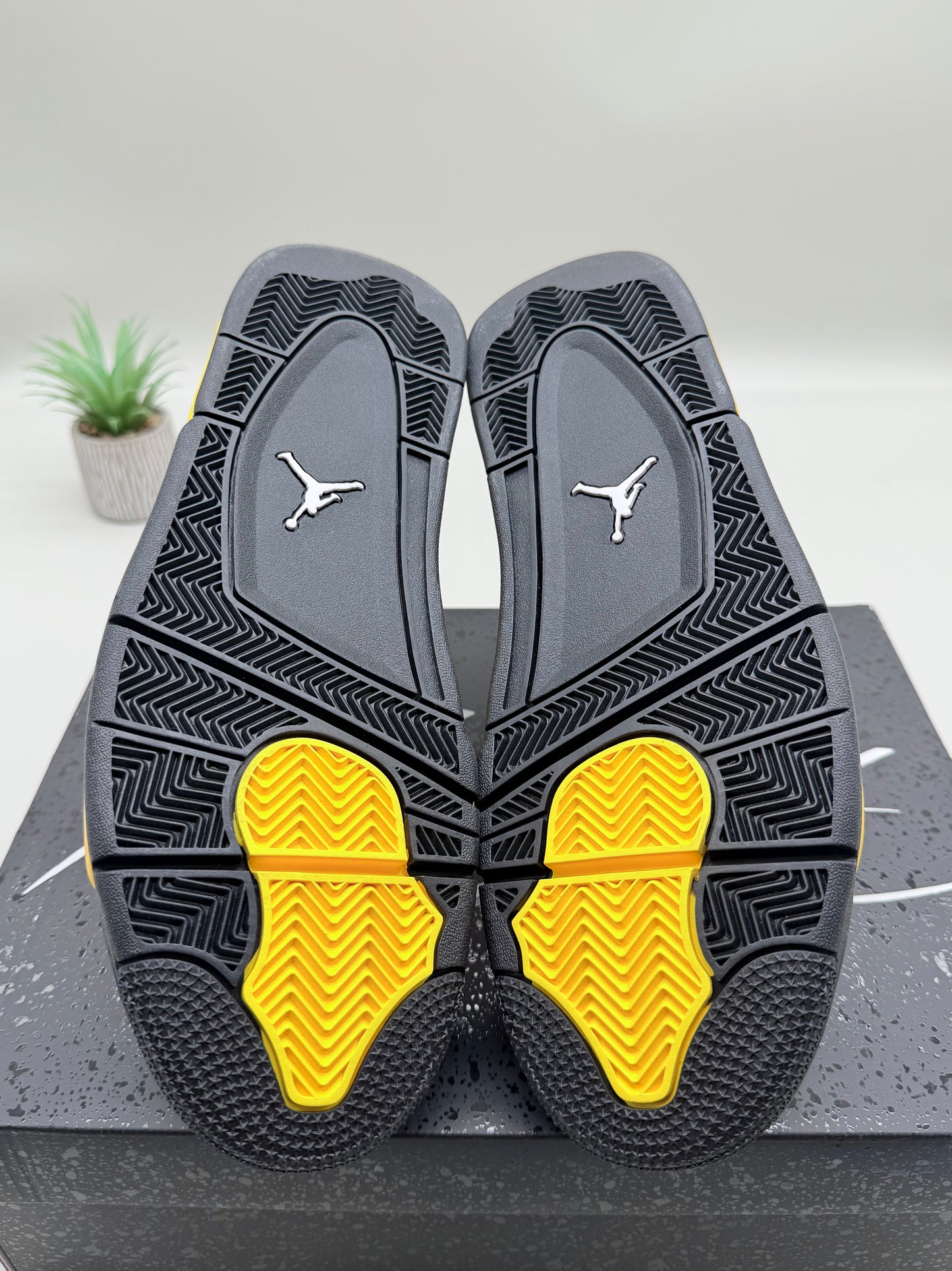 Jordan 4 Thunder