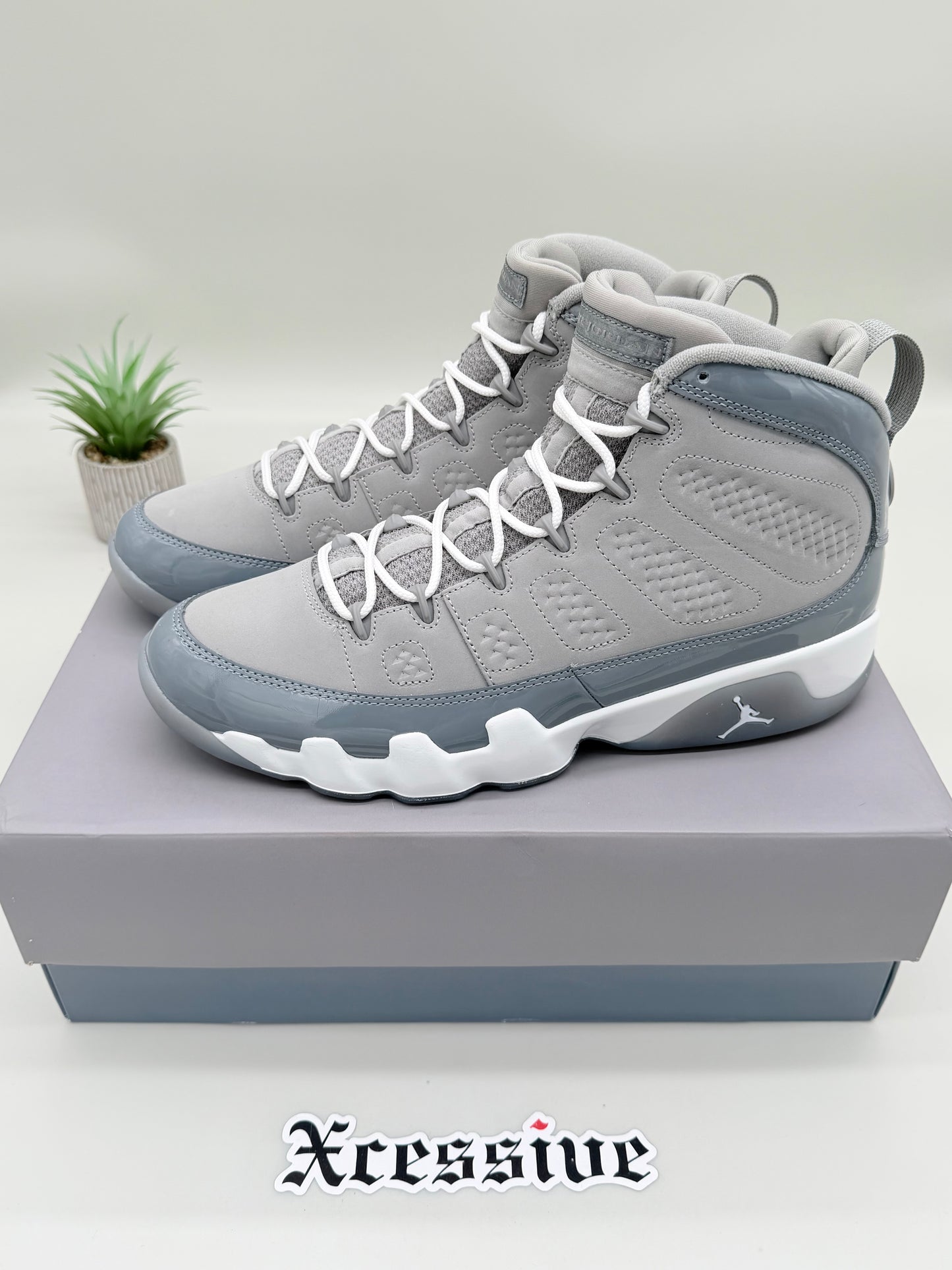 Jordan 9 Cool Grey