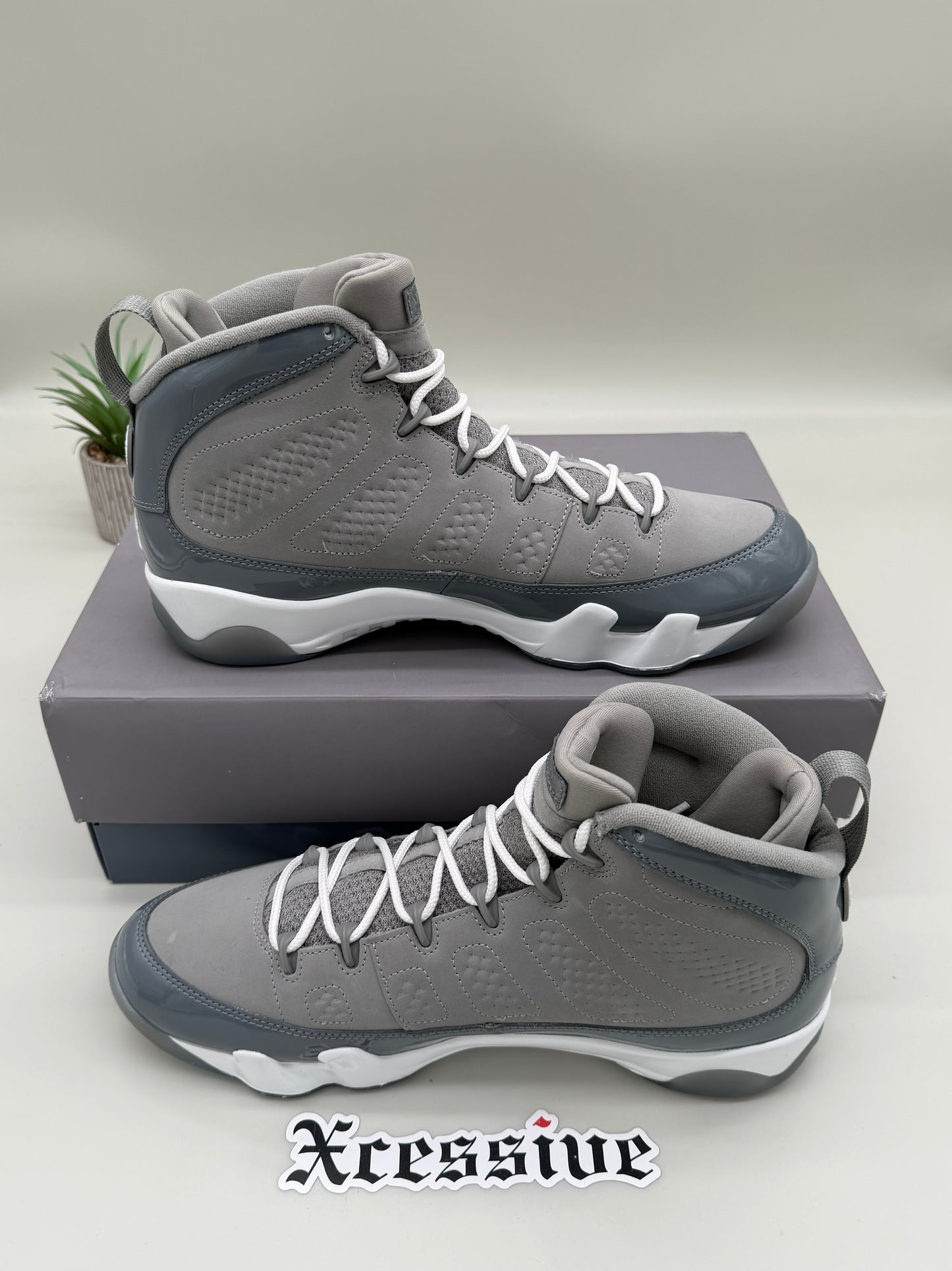 Jordan 9 Cool Grey
