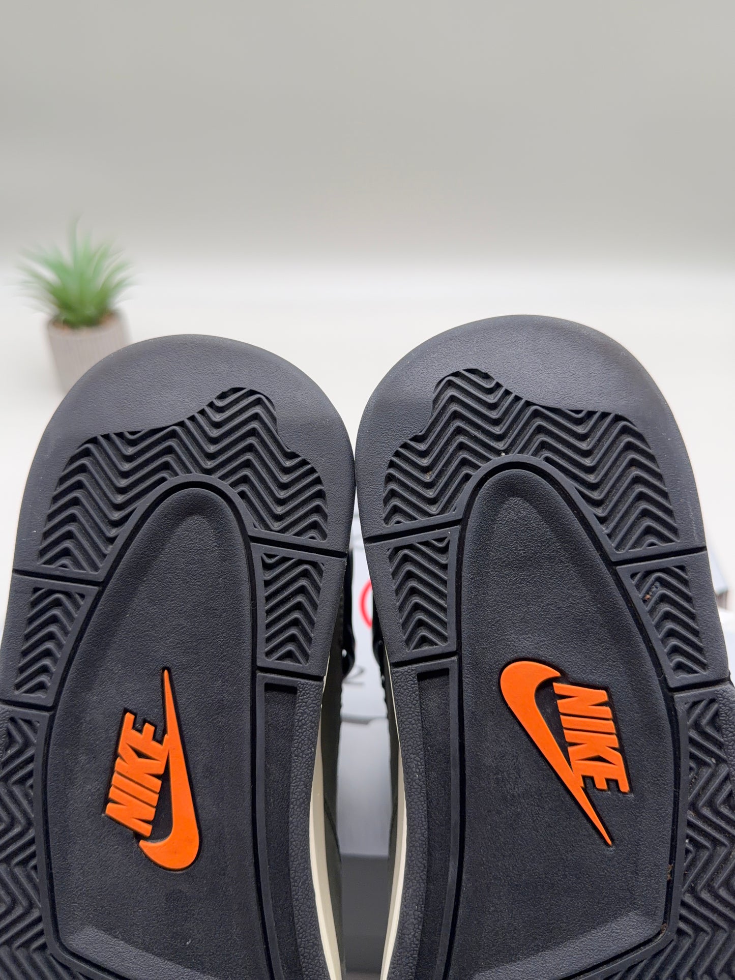 Jordan 4 Undefeated