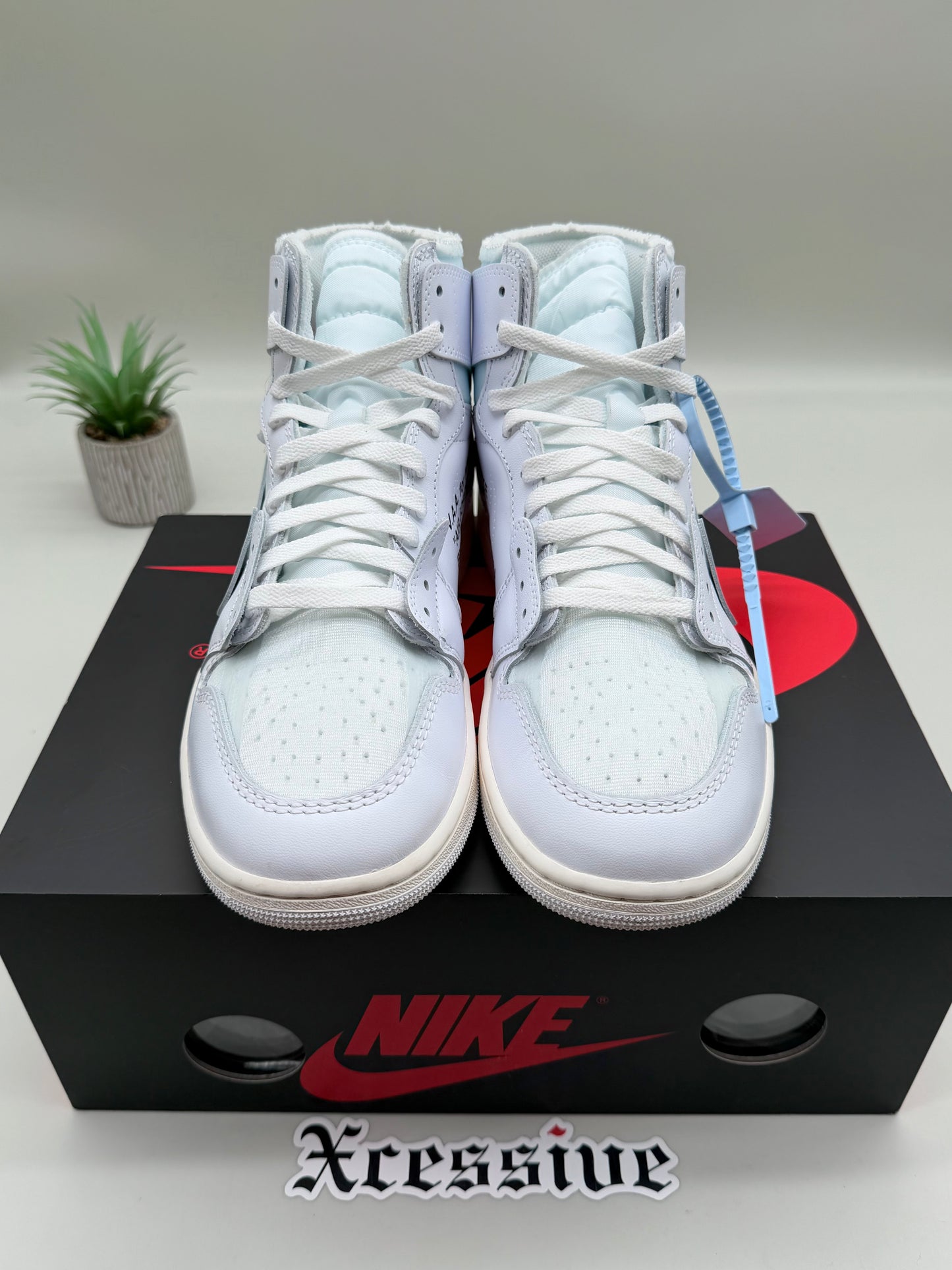 Jordan 1 Virgil Abloh Archive Alaska