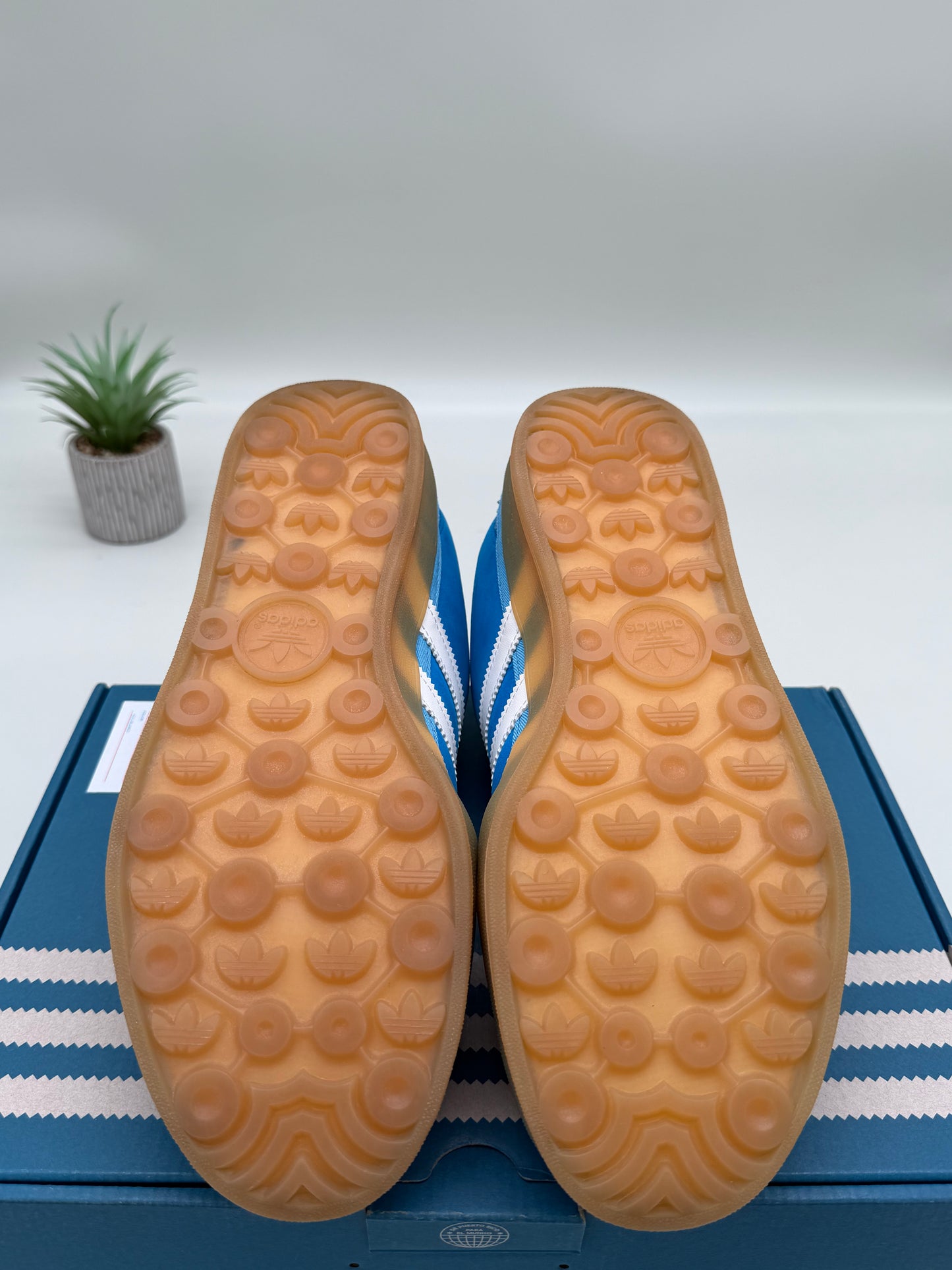 adidas Bad Bunny Gazelle Indoor San Juan