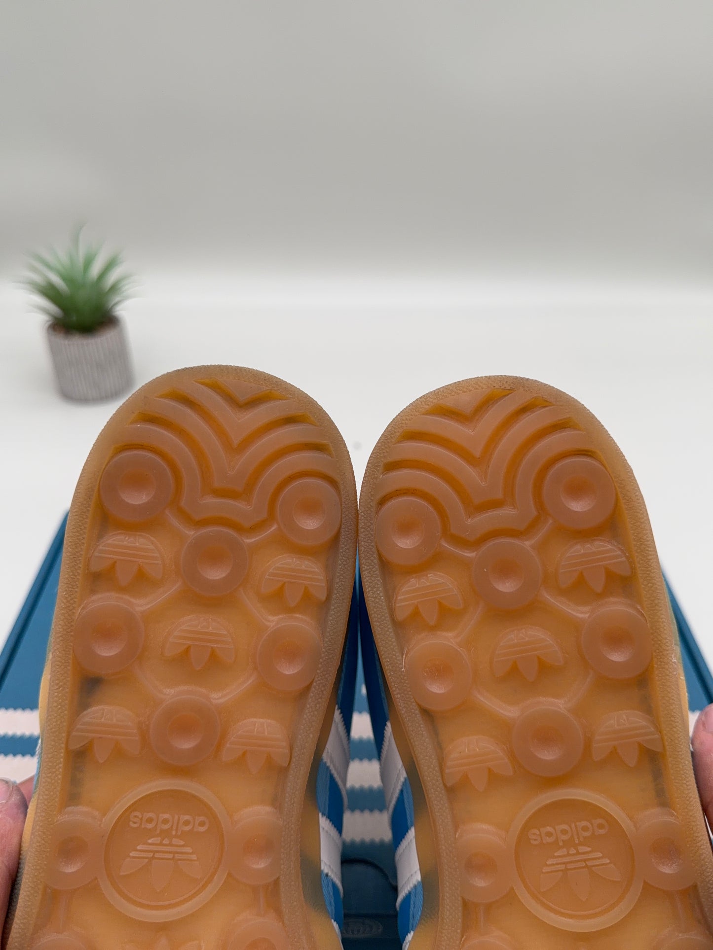 adidas Bad Bunny Gazelle Indoor San Juan