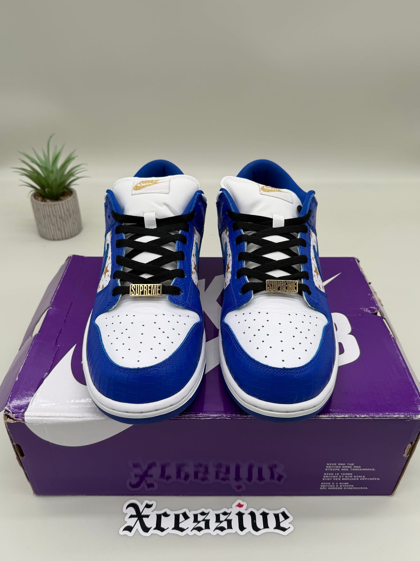 Nike SB Dunk Low Supreme Hyper Royal