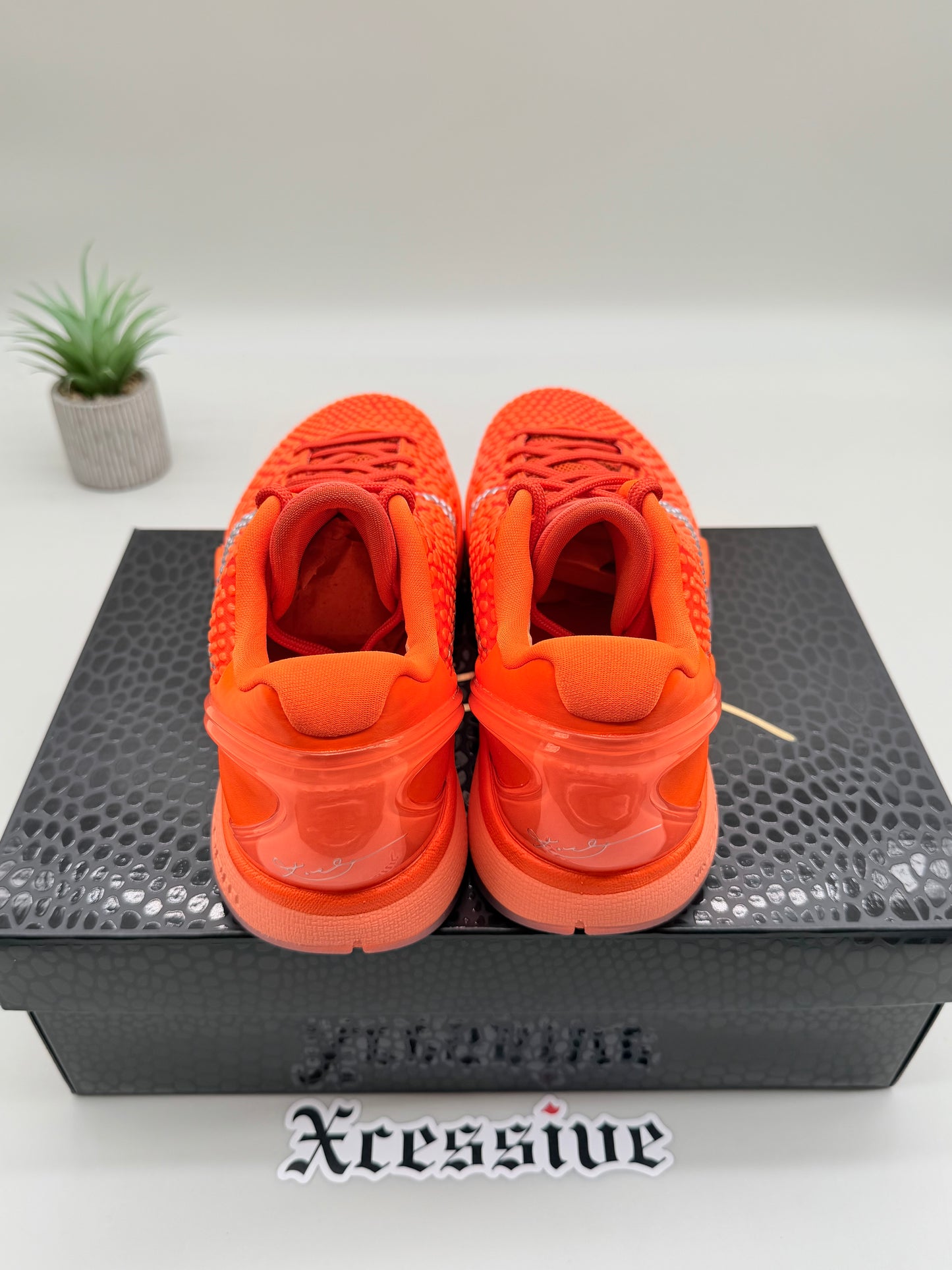 Nike Kobe 6 Total Orange