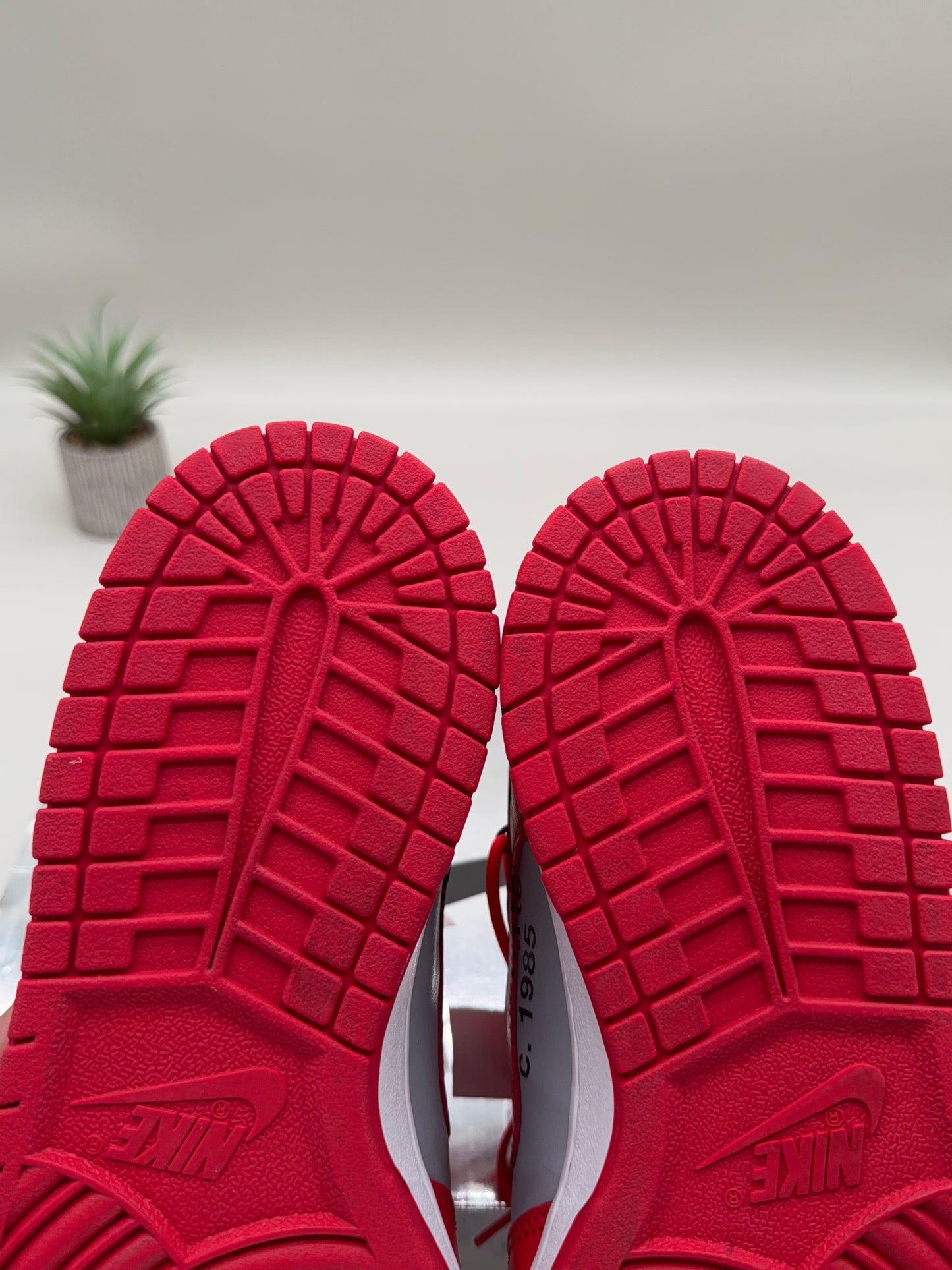 Off-White Nike Dunk Low University Red