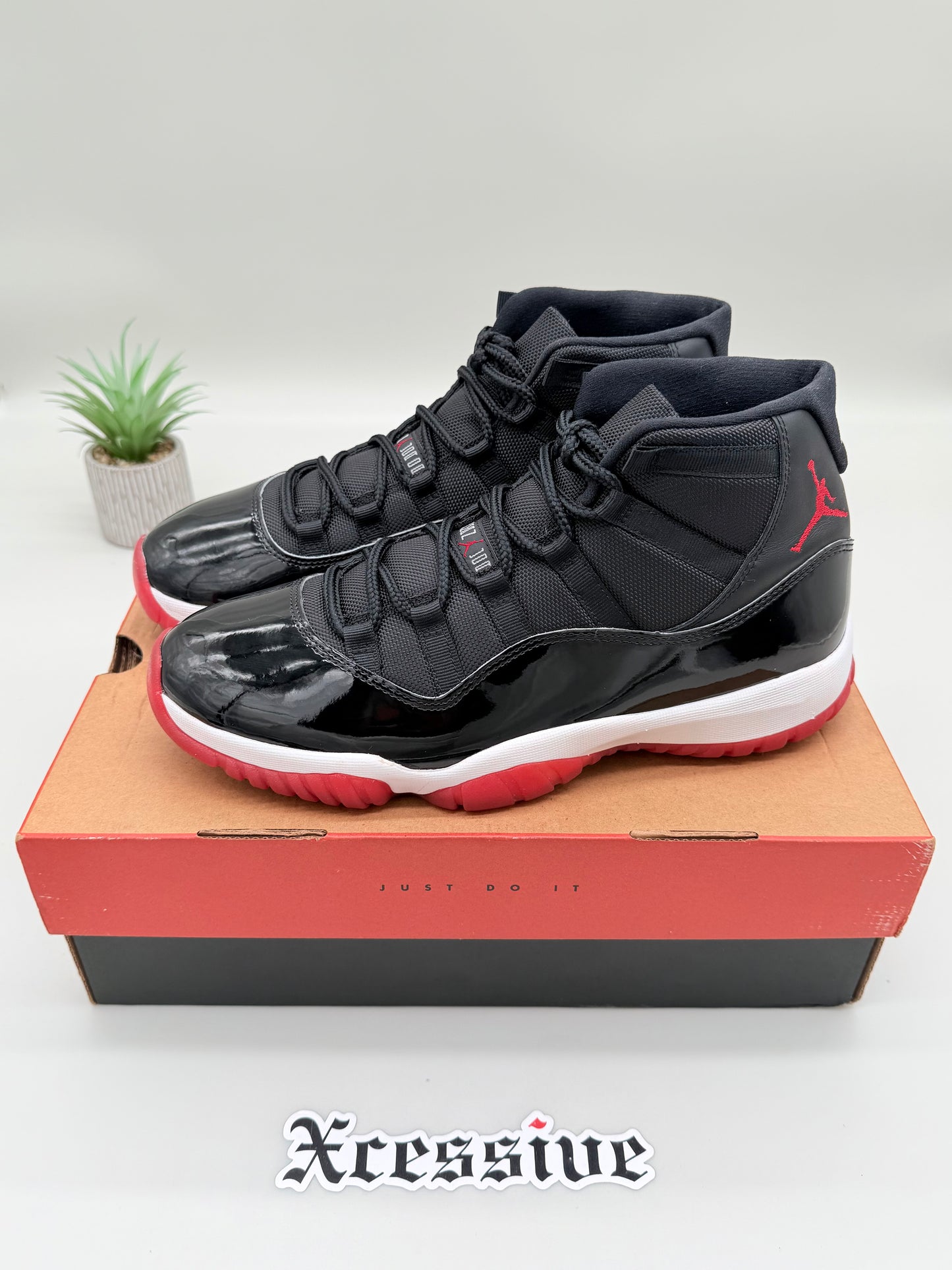 Jordan 11 Bred