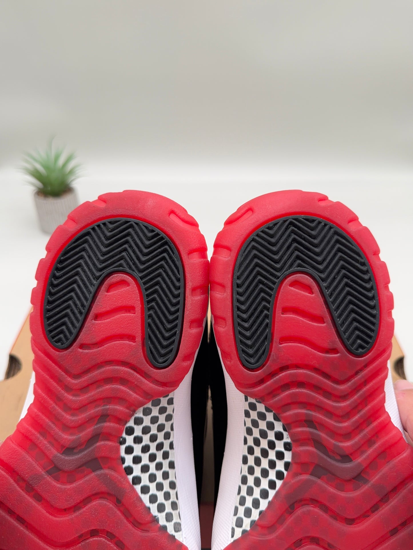 Jordan 11 Bred