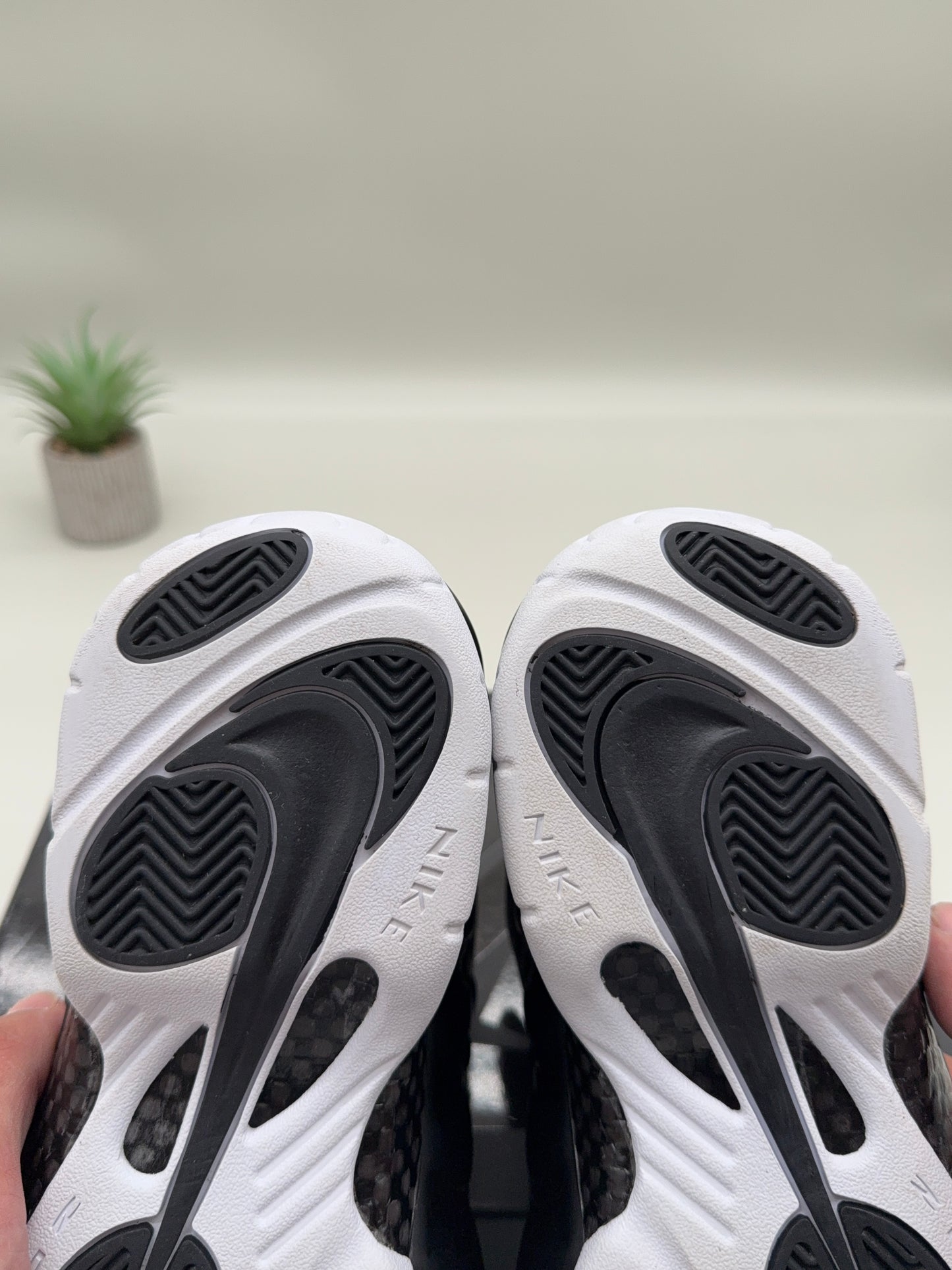 Nike Air Foamposite Pro Dr. Doom