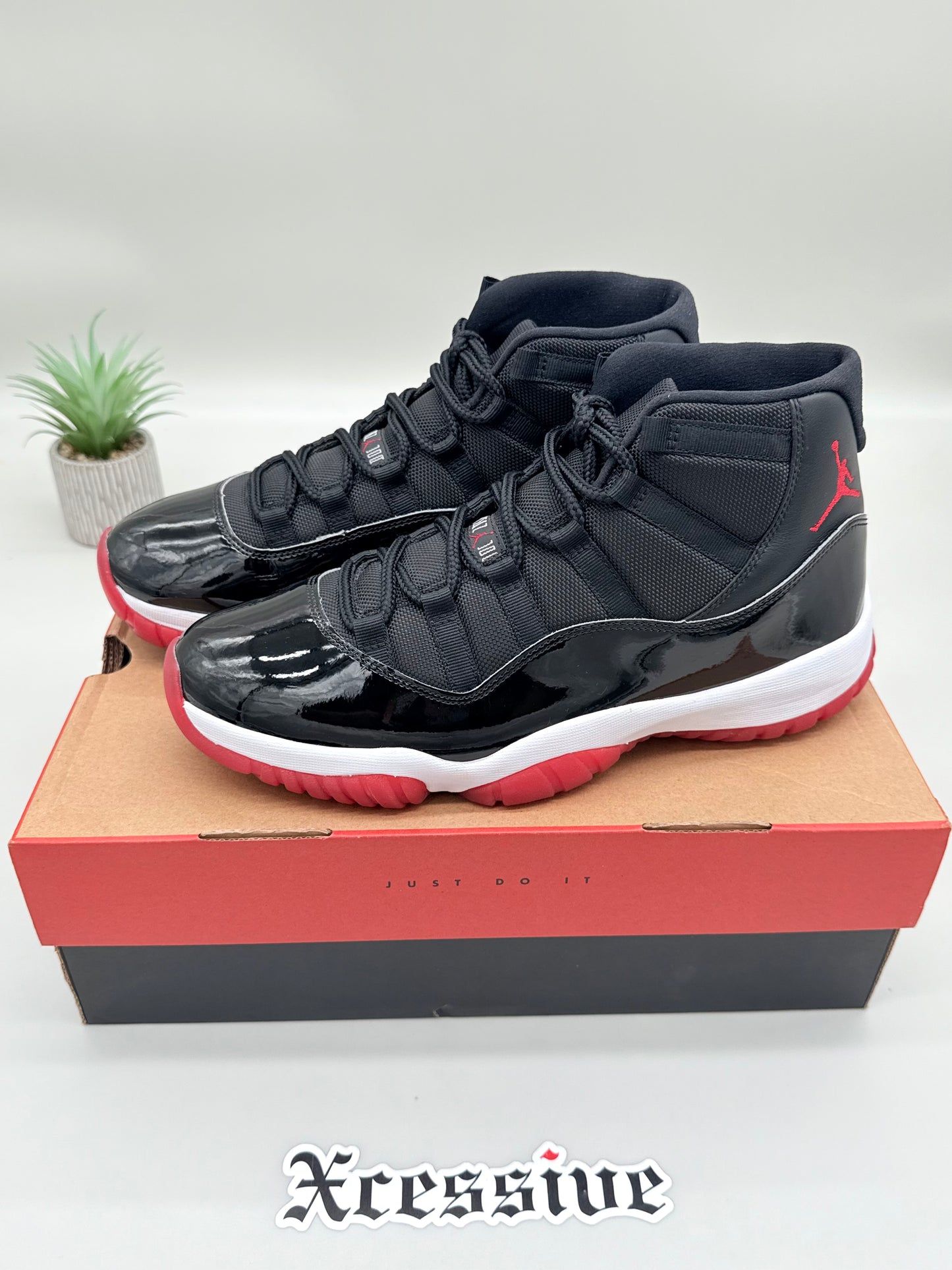 Jordan 11 Bred