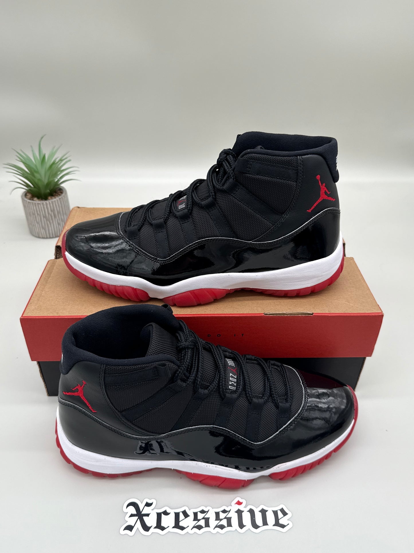 Jordan 11 Bred