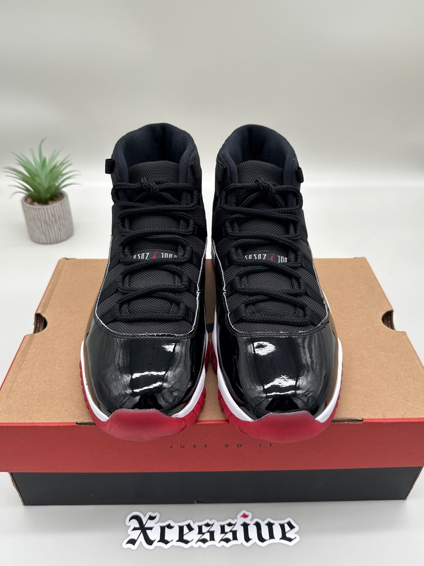 Jordan 11 Bred