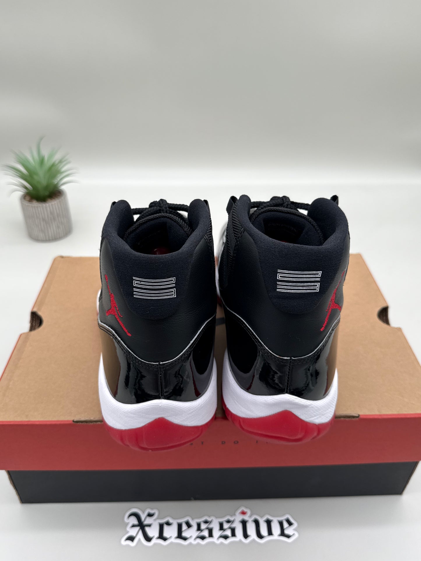 Jordan 11 Bred