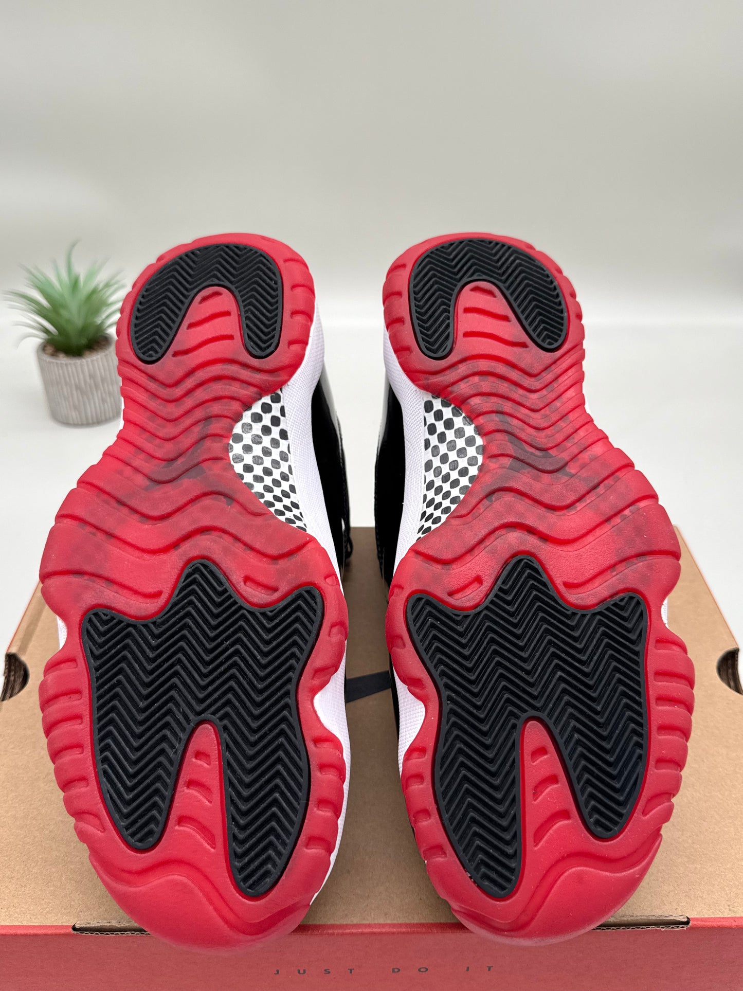 Jordan 11 Bred