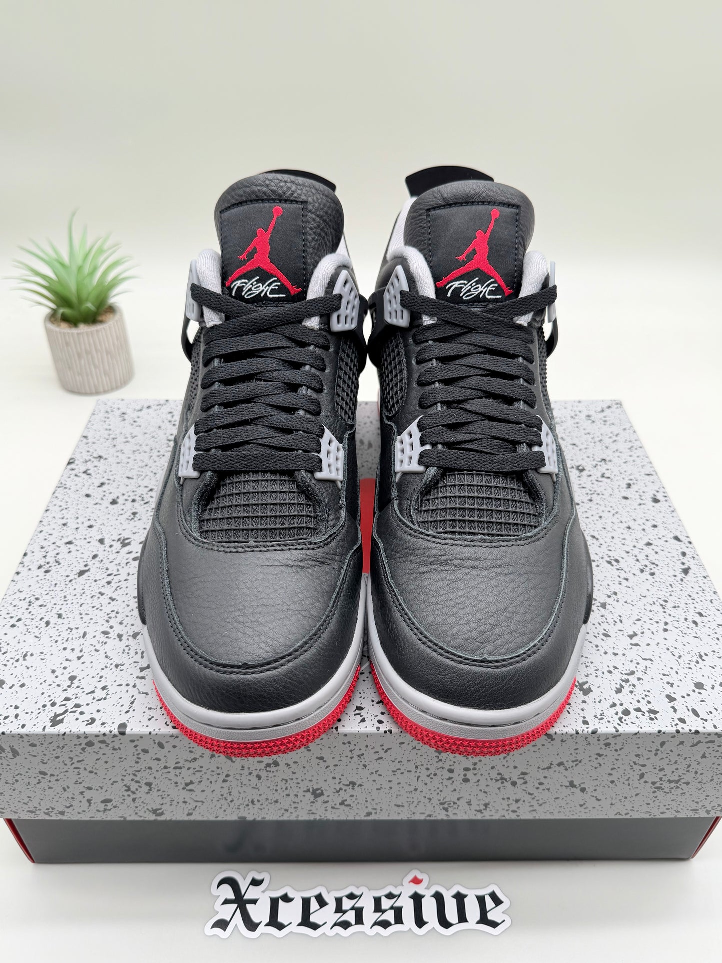 Jordan 4 Bred Reimagined