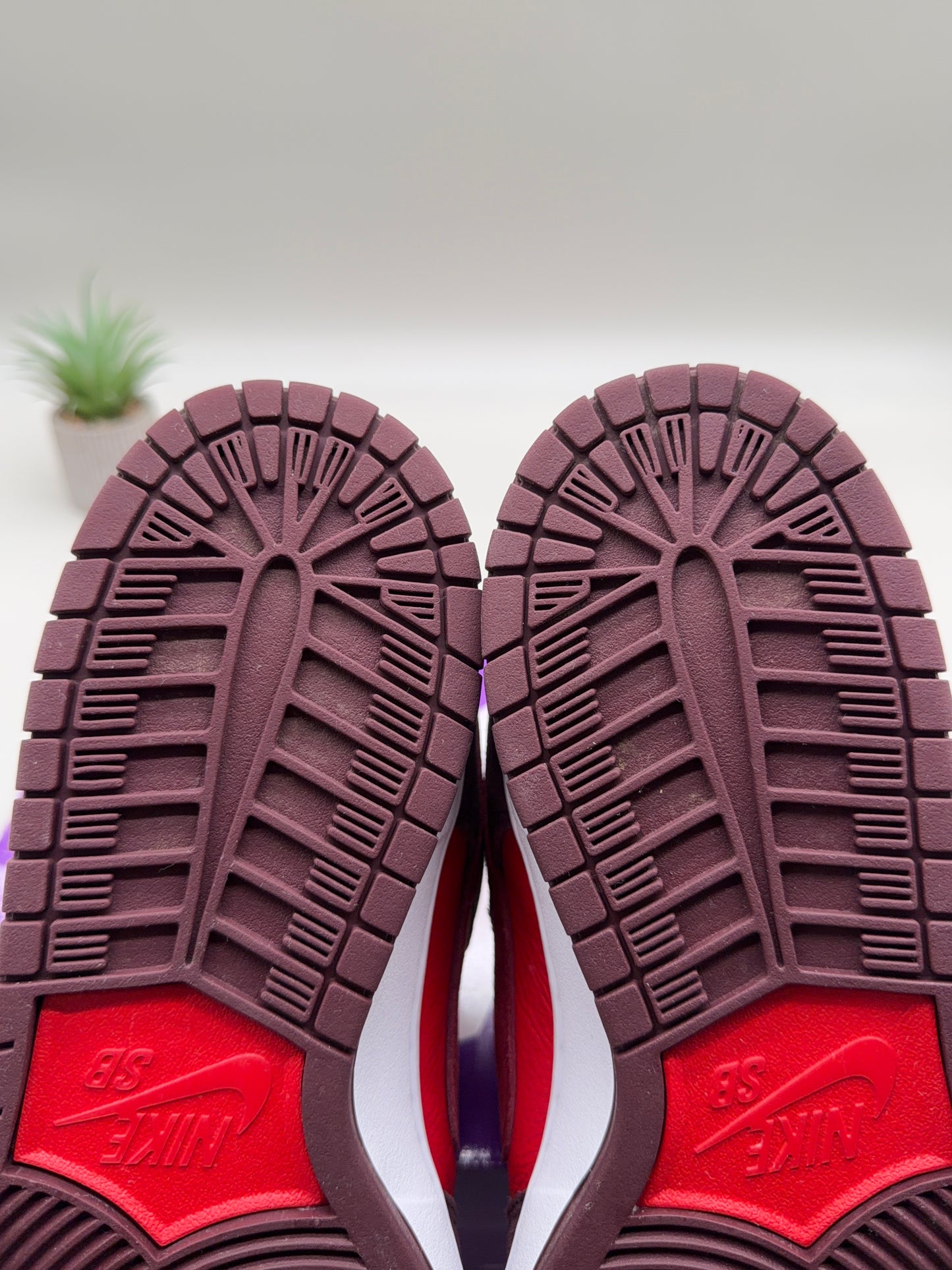 Nike SB Dunk Low Cherry