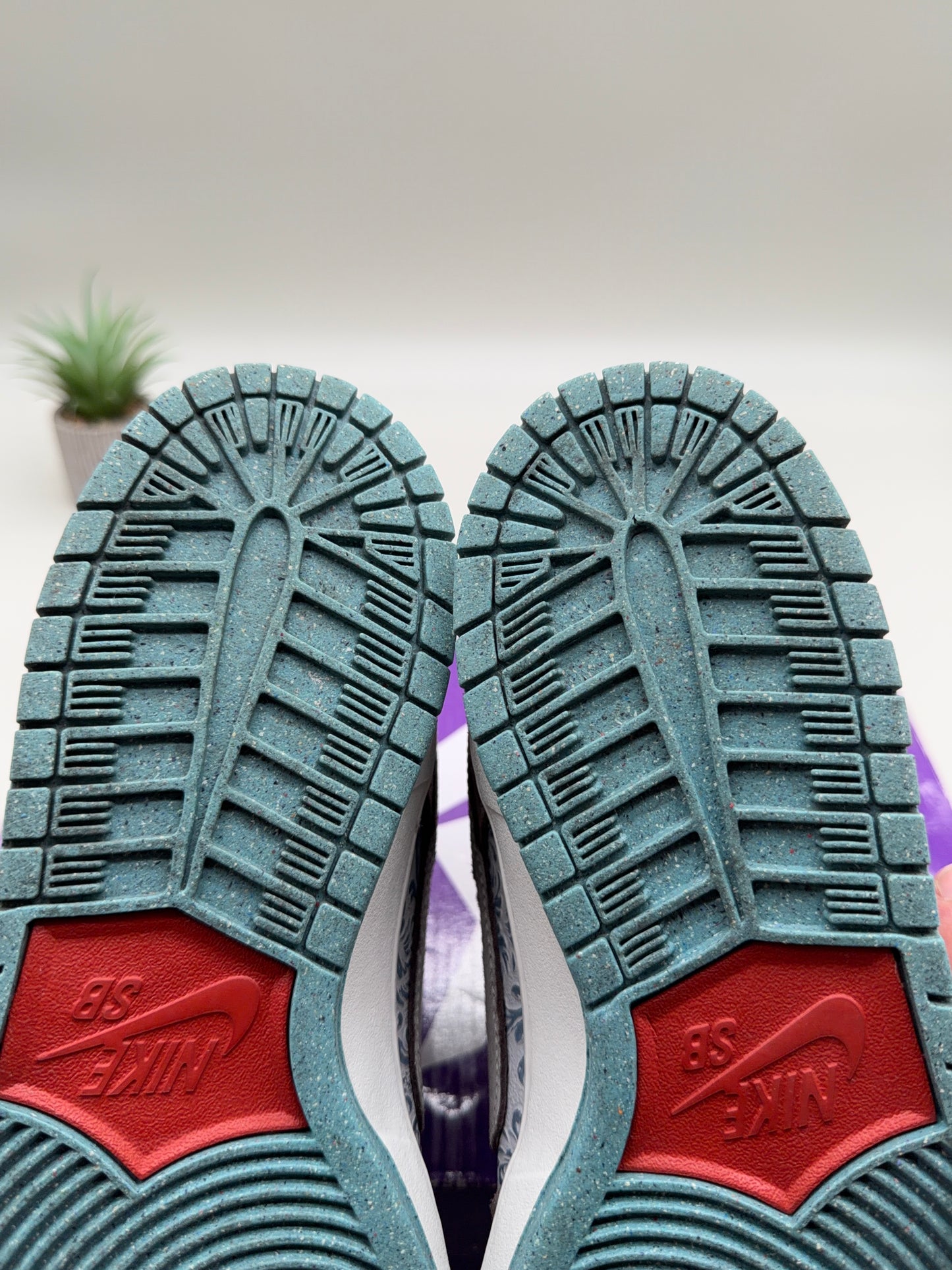 Nike SB Dunk Low Big Money Savings
