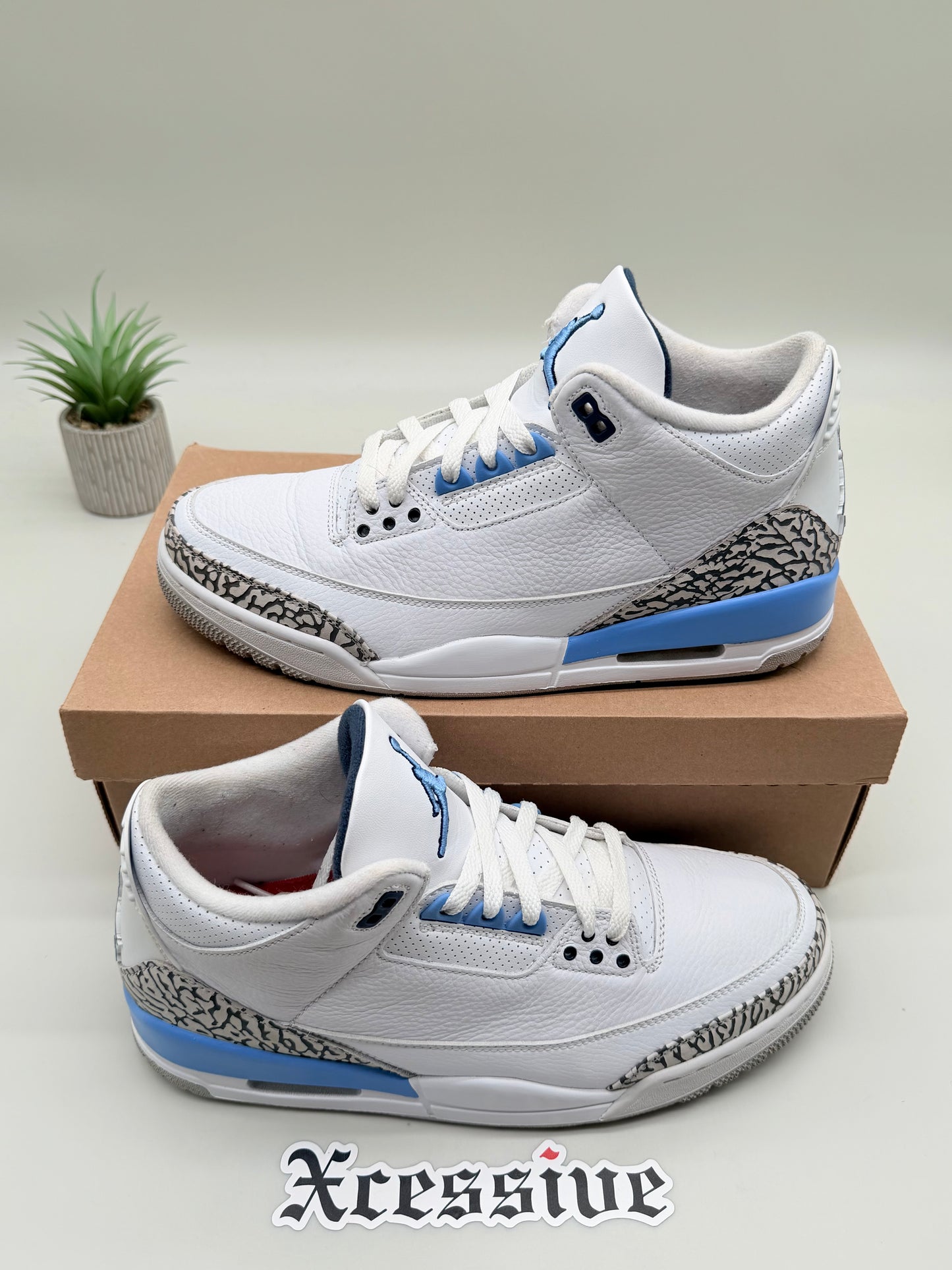 Jordan 3 UNC