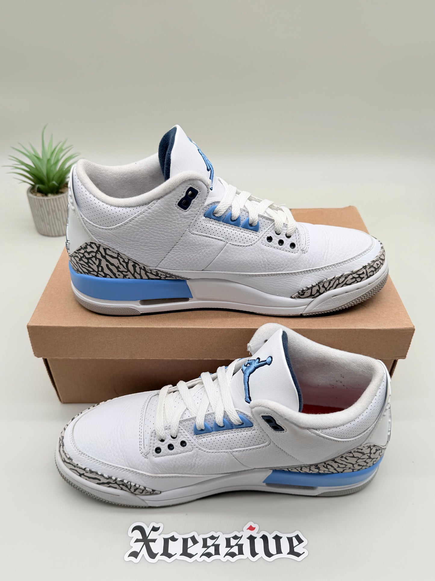 Jordan 3 UNC