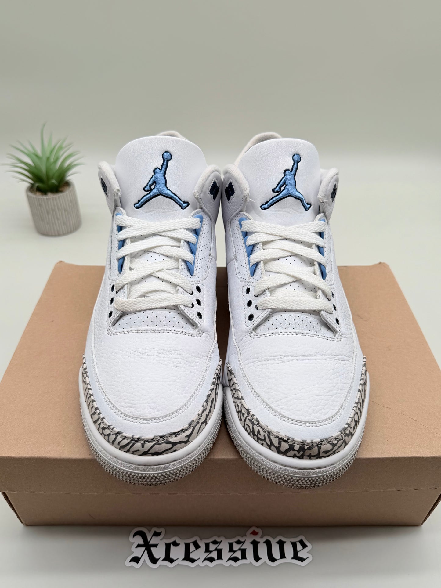 Jordan 3 UNC