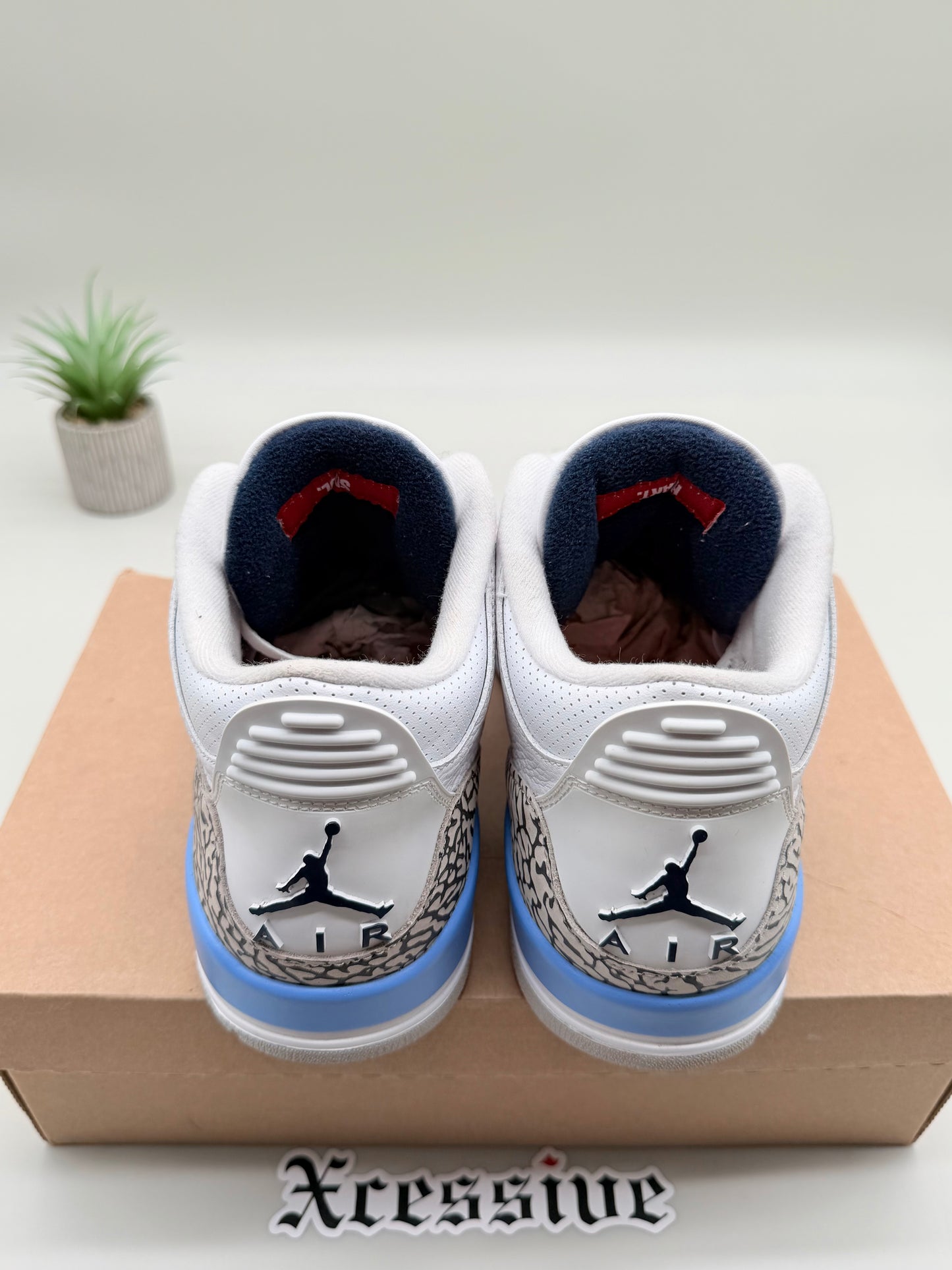Jordan 3 UNC