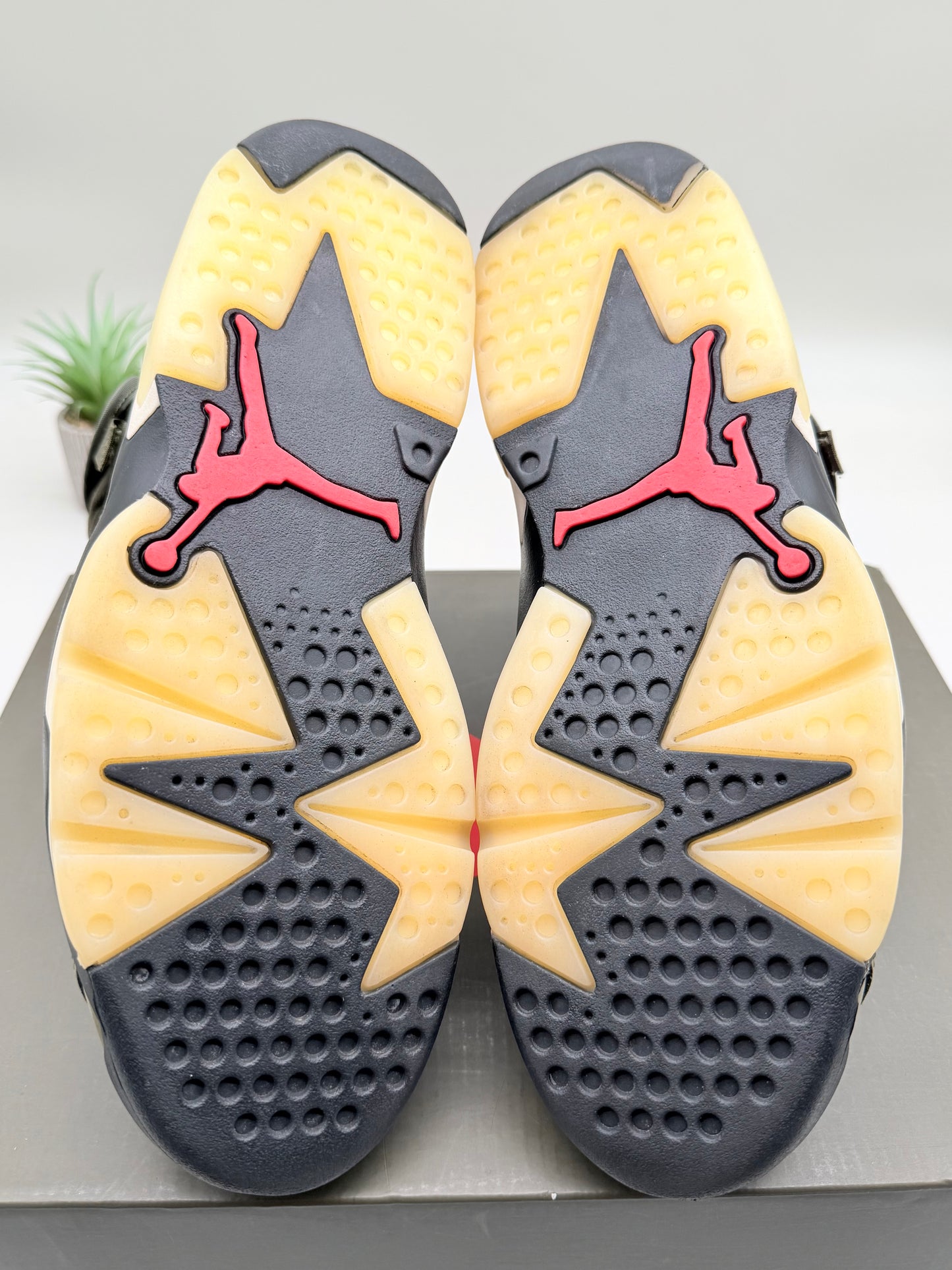 Jordan 6 Travis Scott Olive