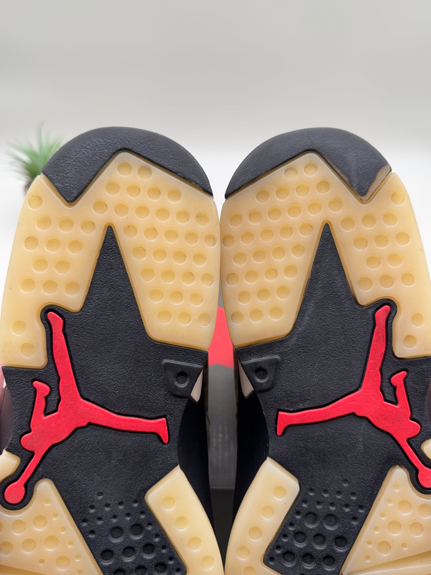 Jordan 6 Travis Scott Olive