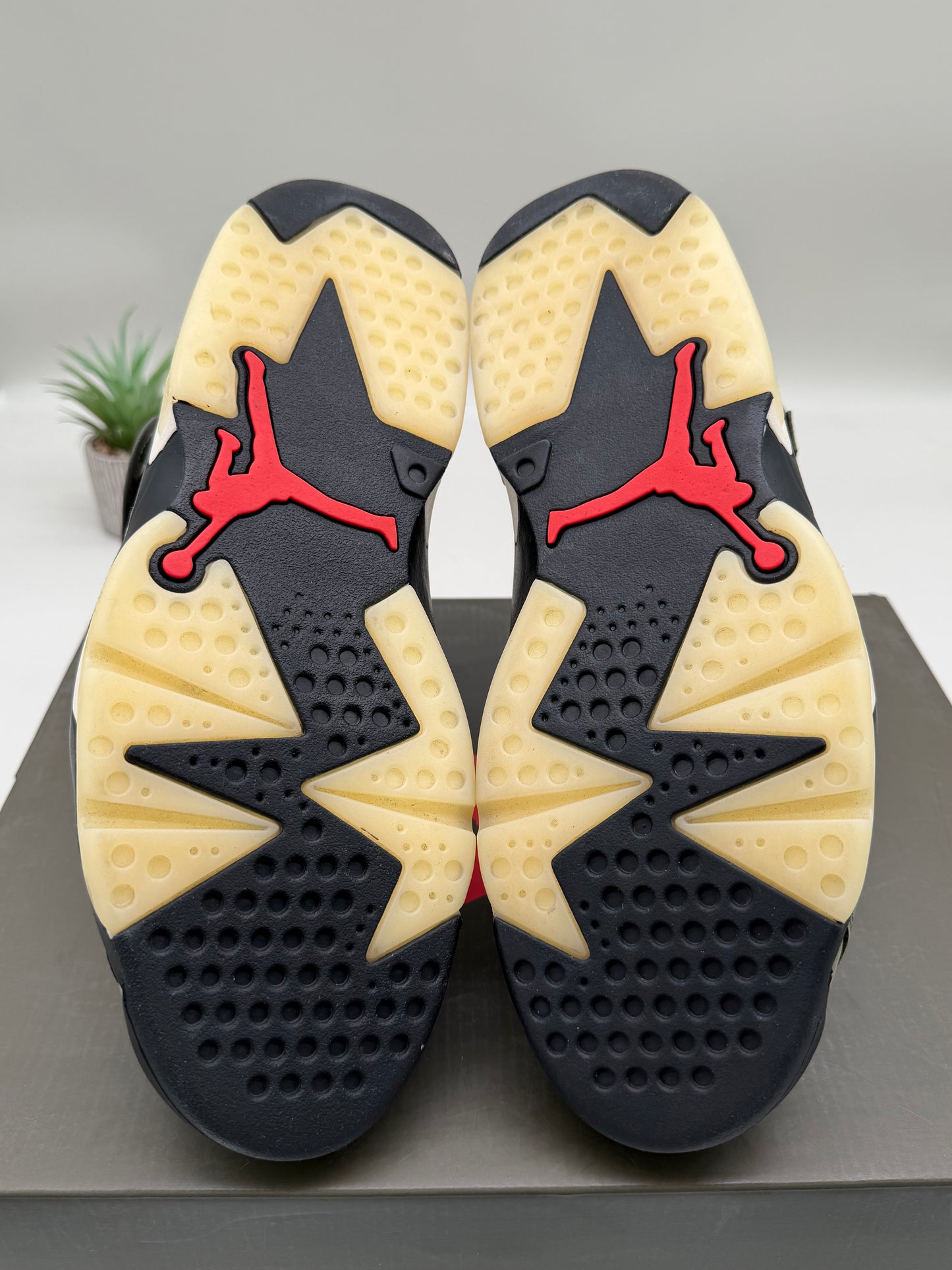 Jordan 6 Travis Scott Olive