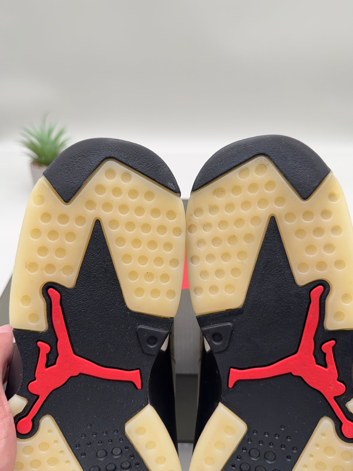 Jordan 6 Travis Scott Olive