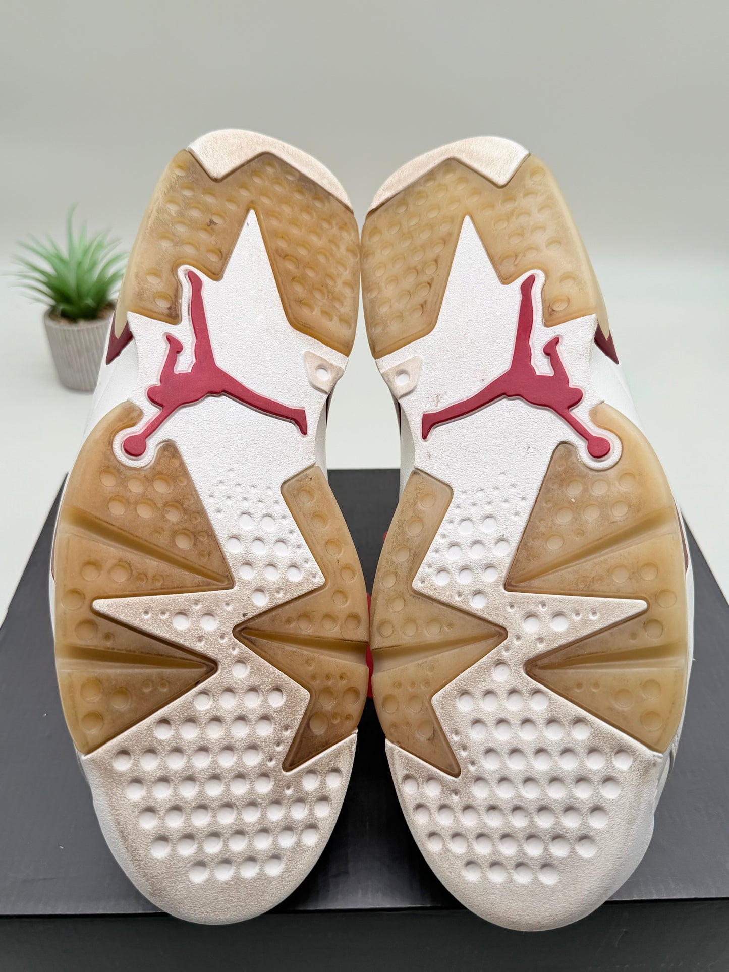 Jordan 6 Maroon