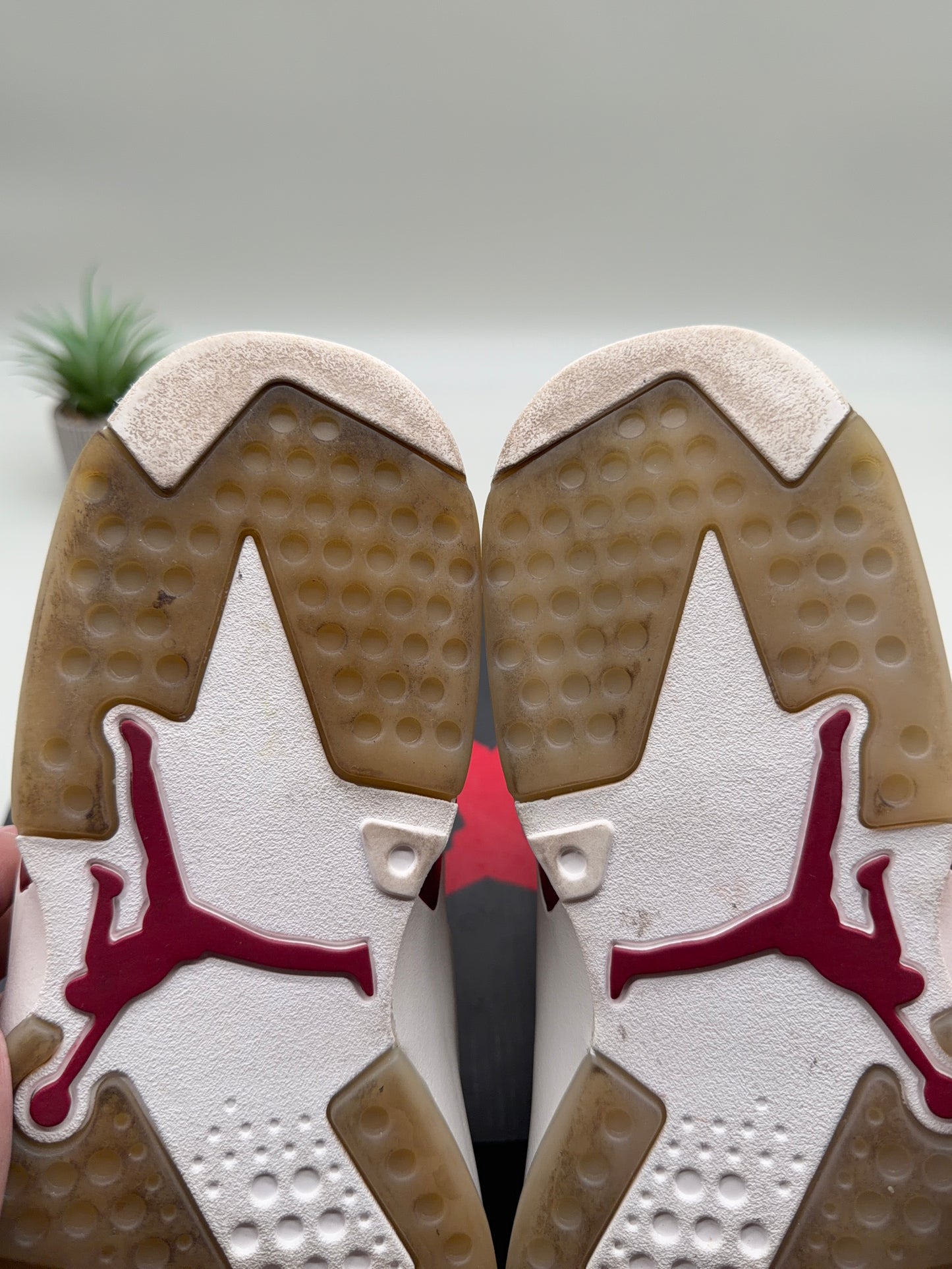 Jordan 6 Maroon