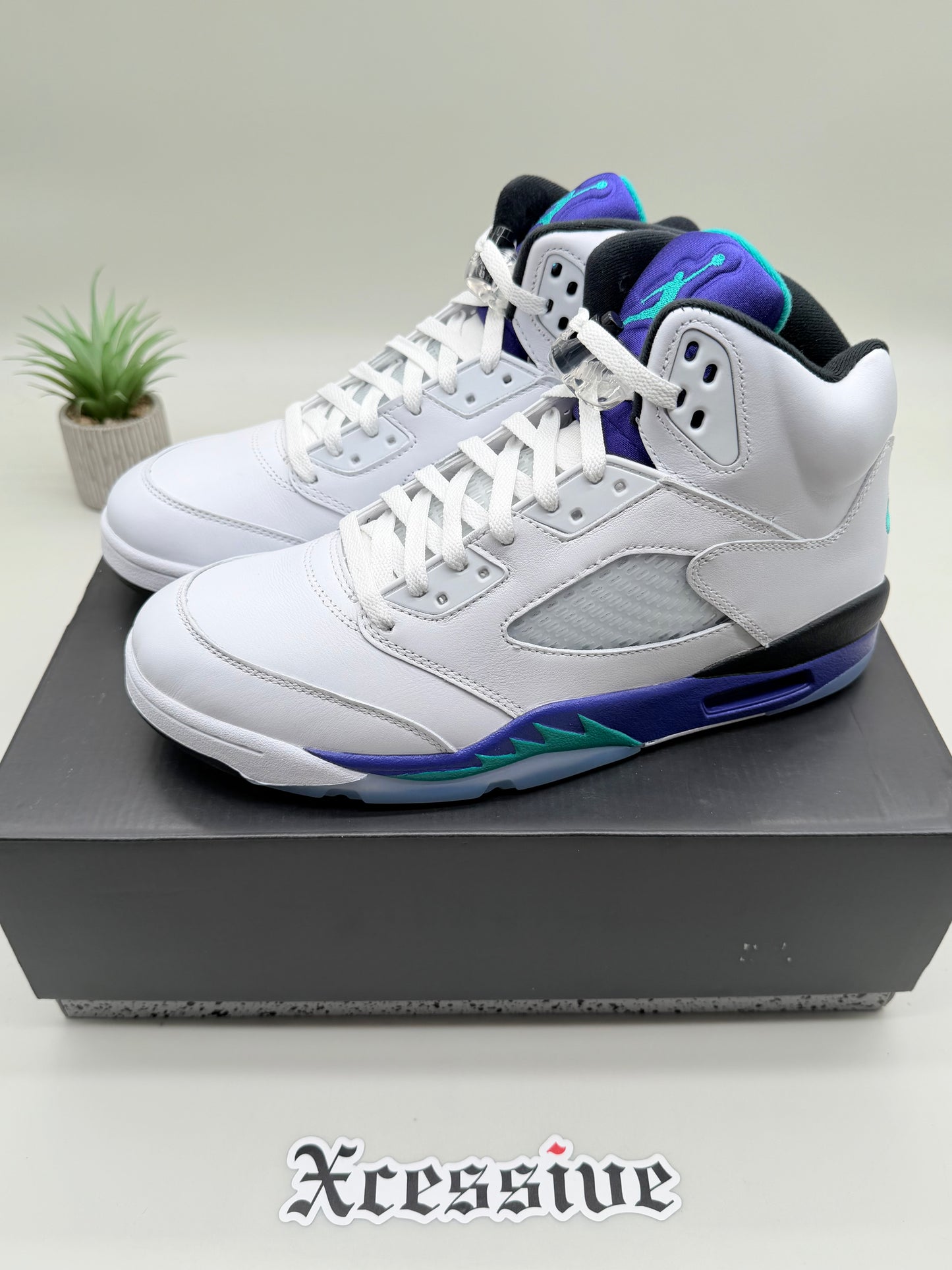 Jordan 5 Grape