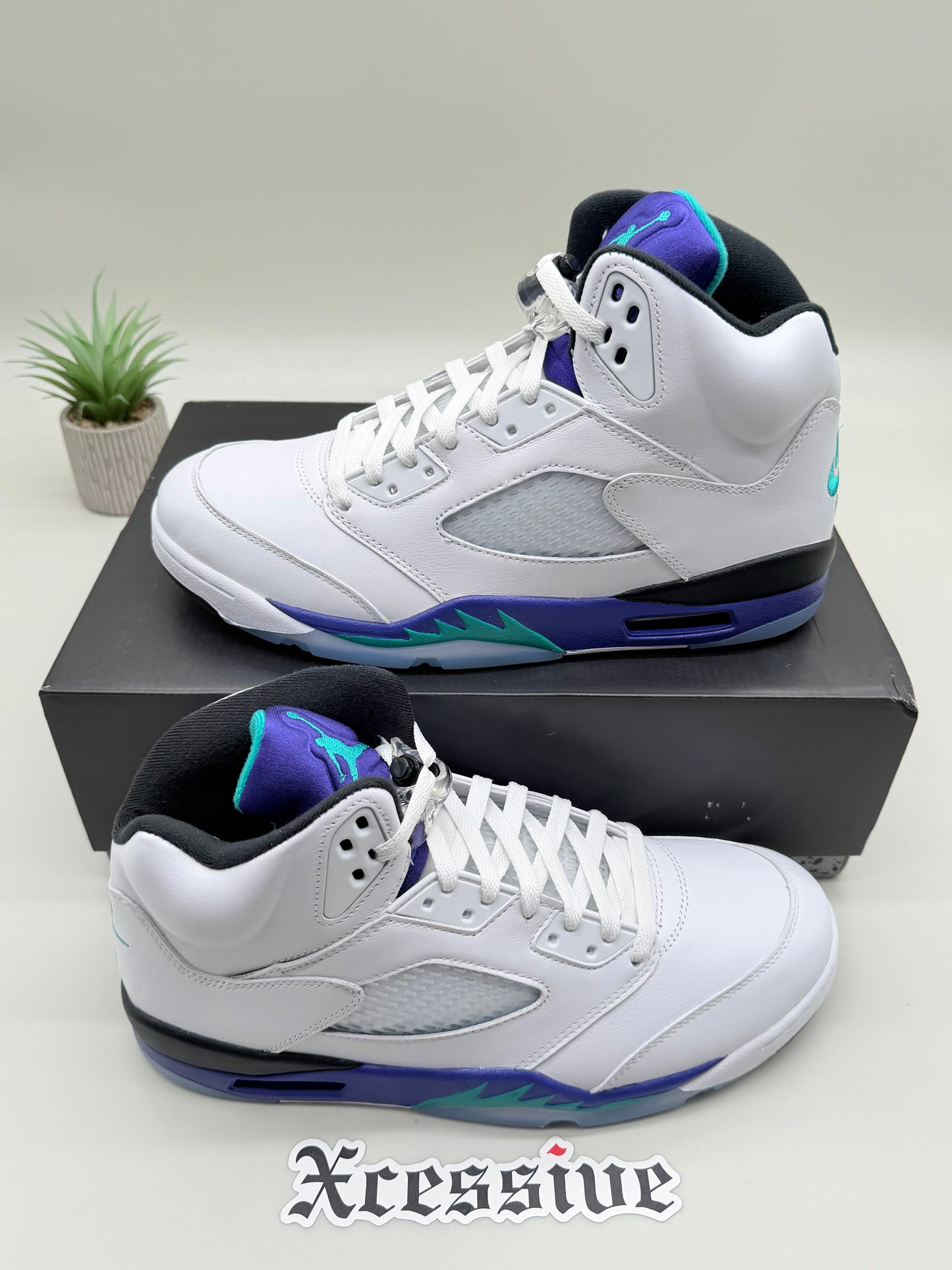 Jordan 5 Grape