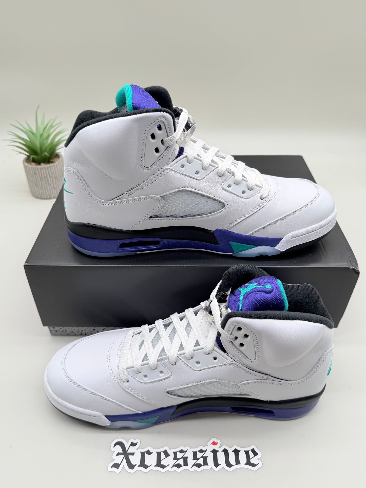 Jordan 5 Grape